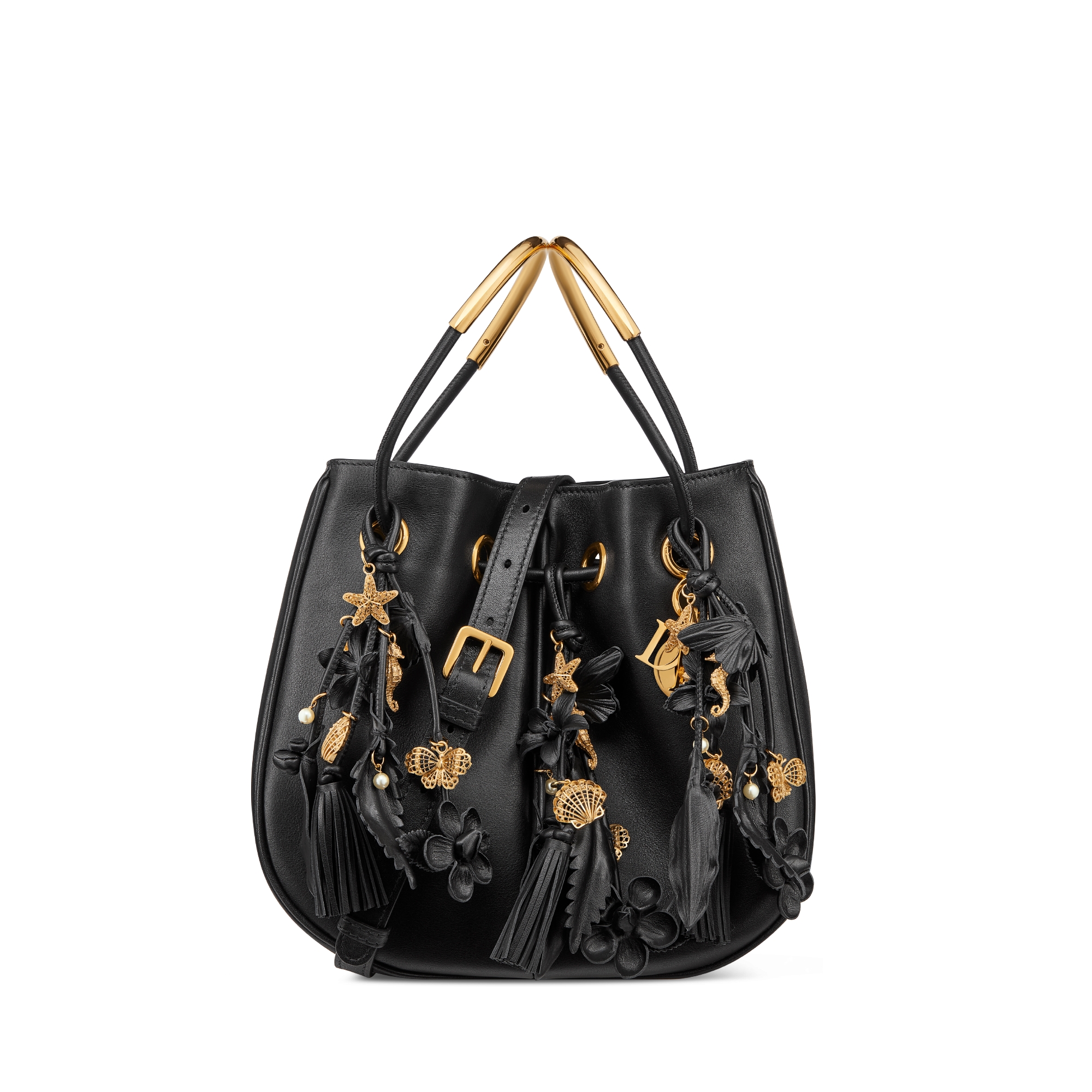 Small Dior Nolita Bag