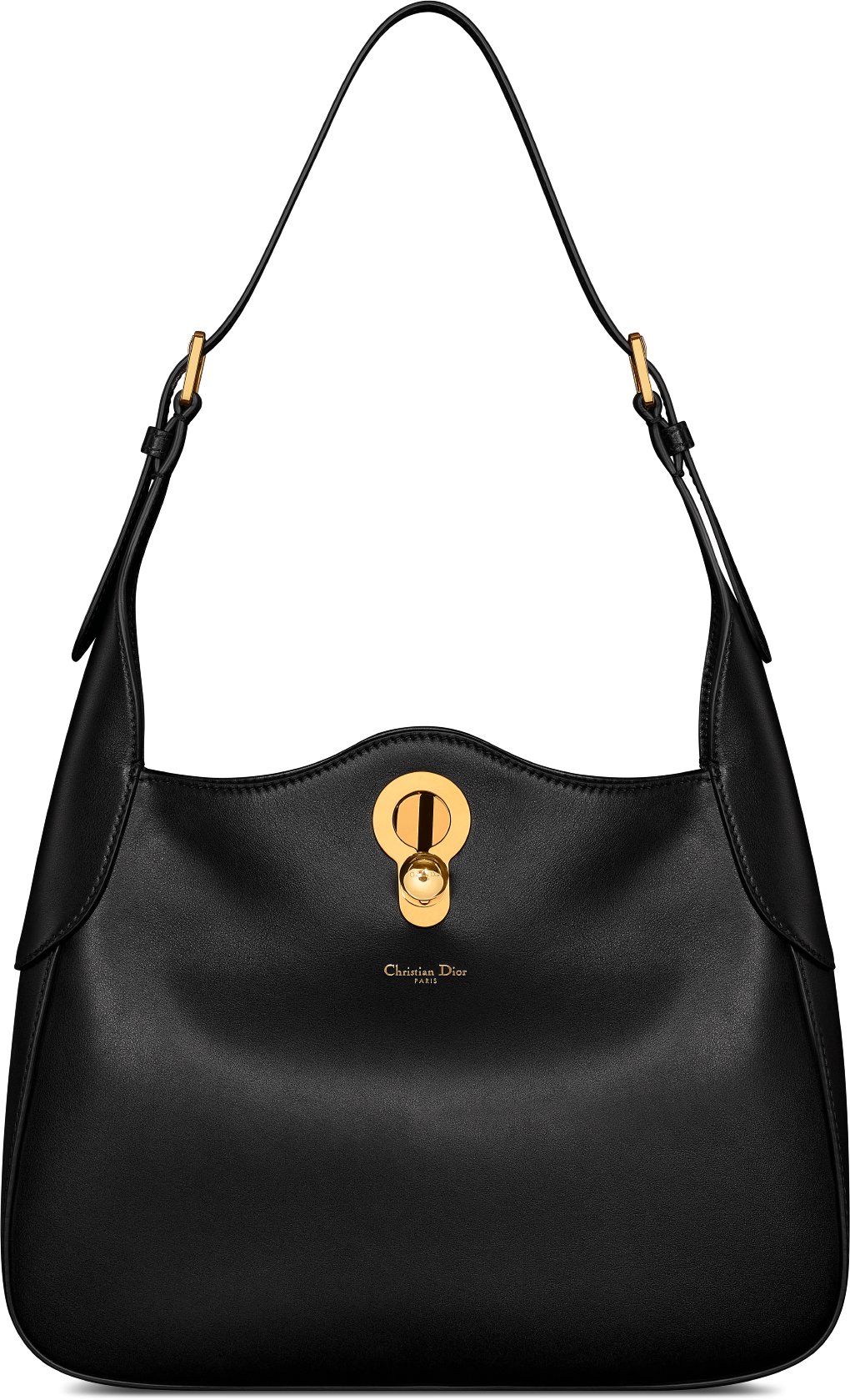 ProRep Live Plant. Microsorum Diversifolium (Large) - Blackpool