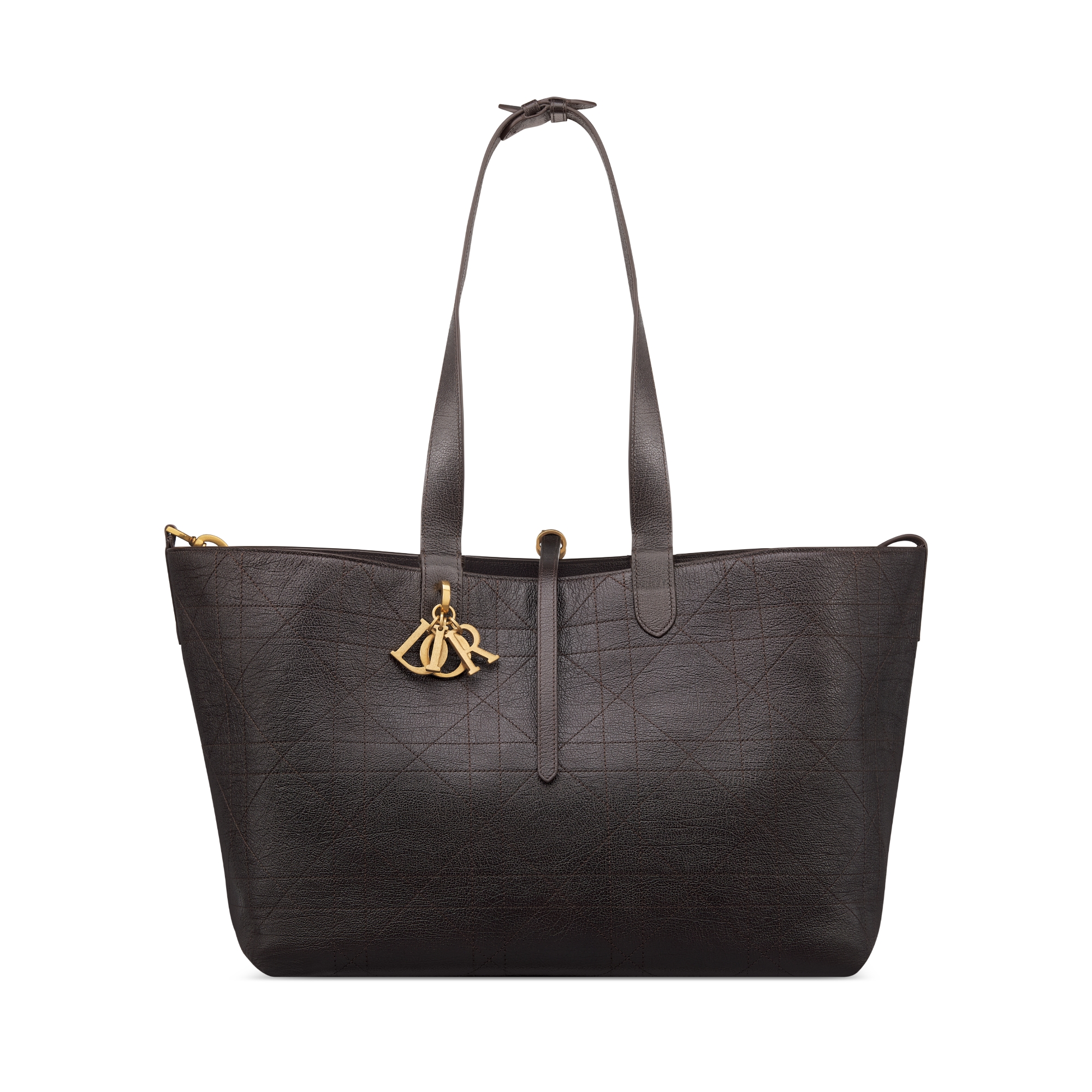 Large Dior Toujours Bag