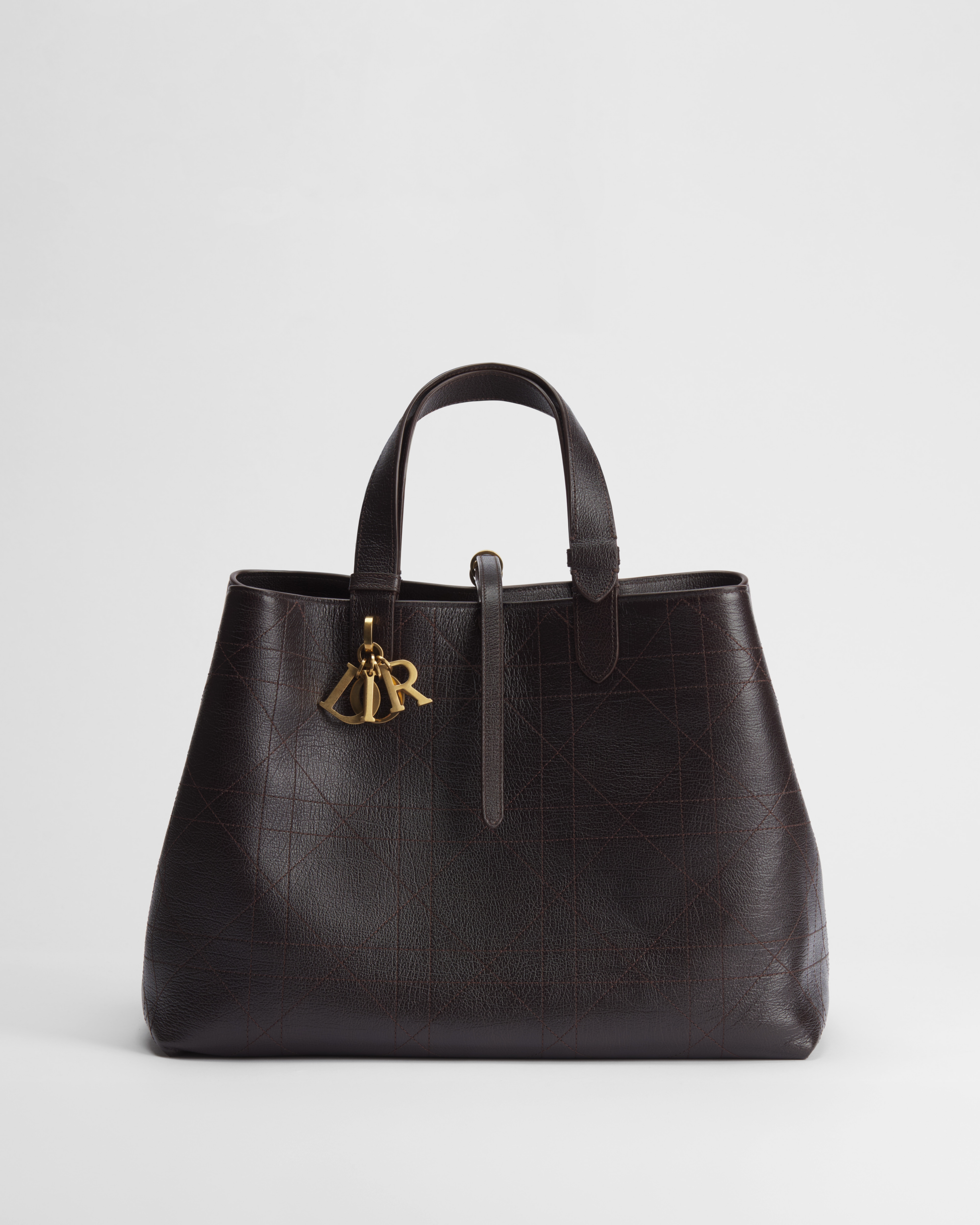 Large Dior Toujours Bag