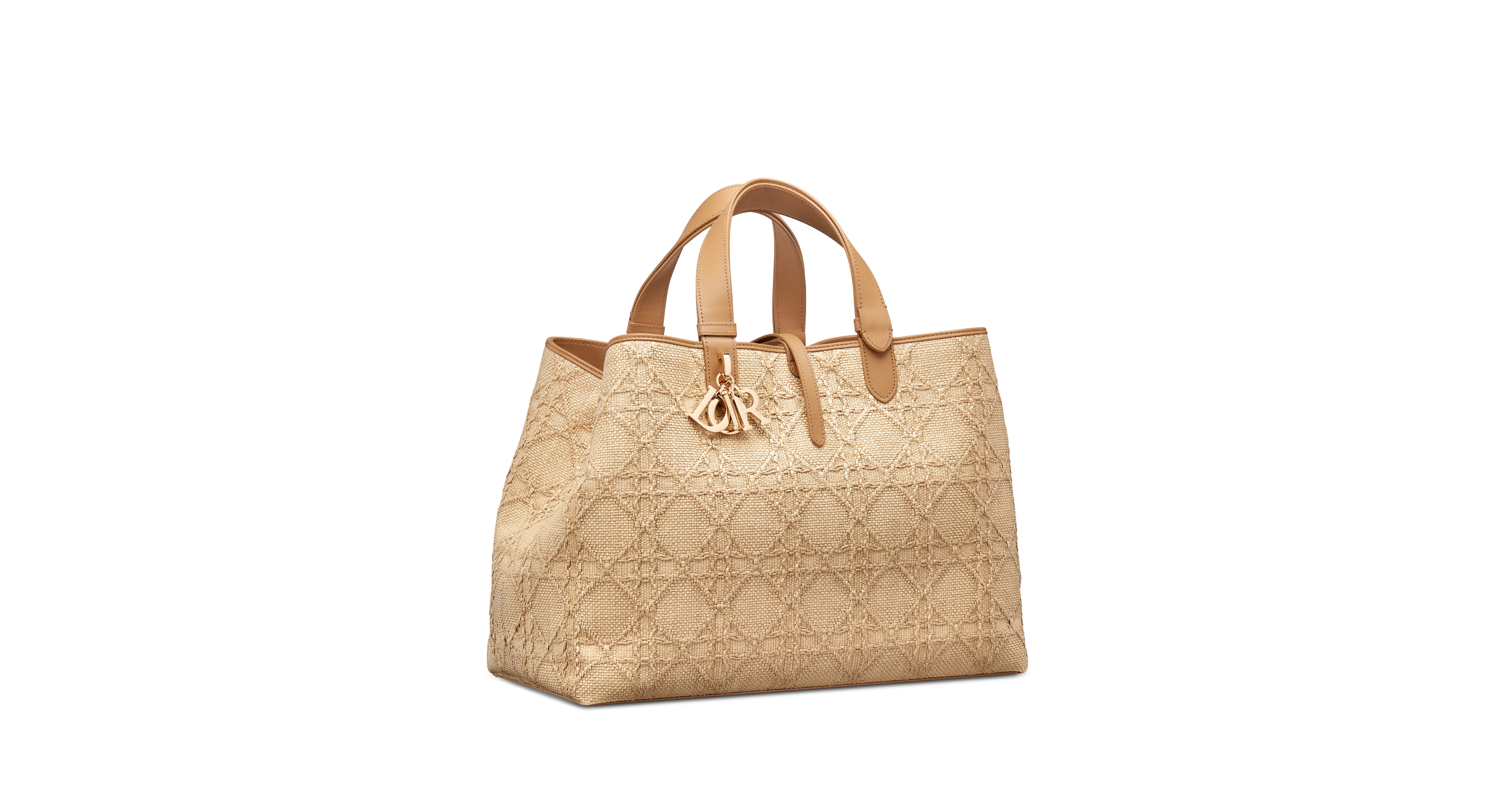 Large Dior Toujours Bag
