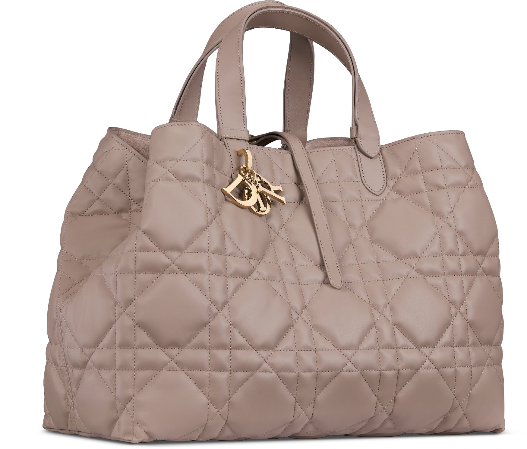 Dior dinner bag deals