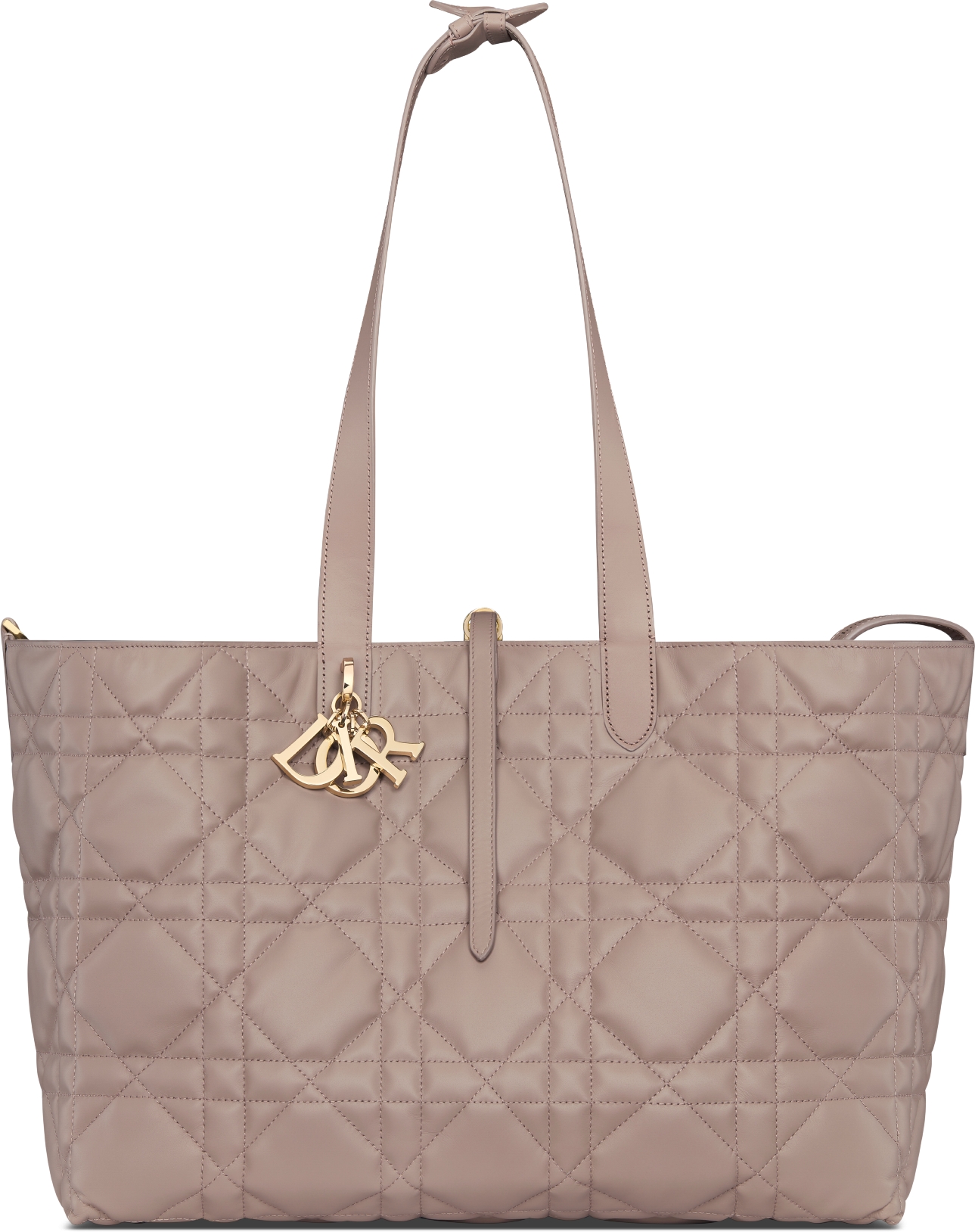 Dior tote bag 2019 sales