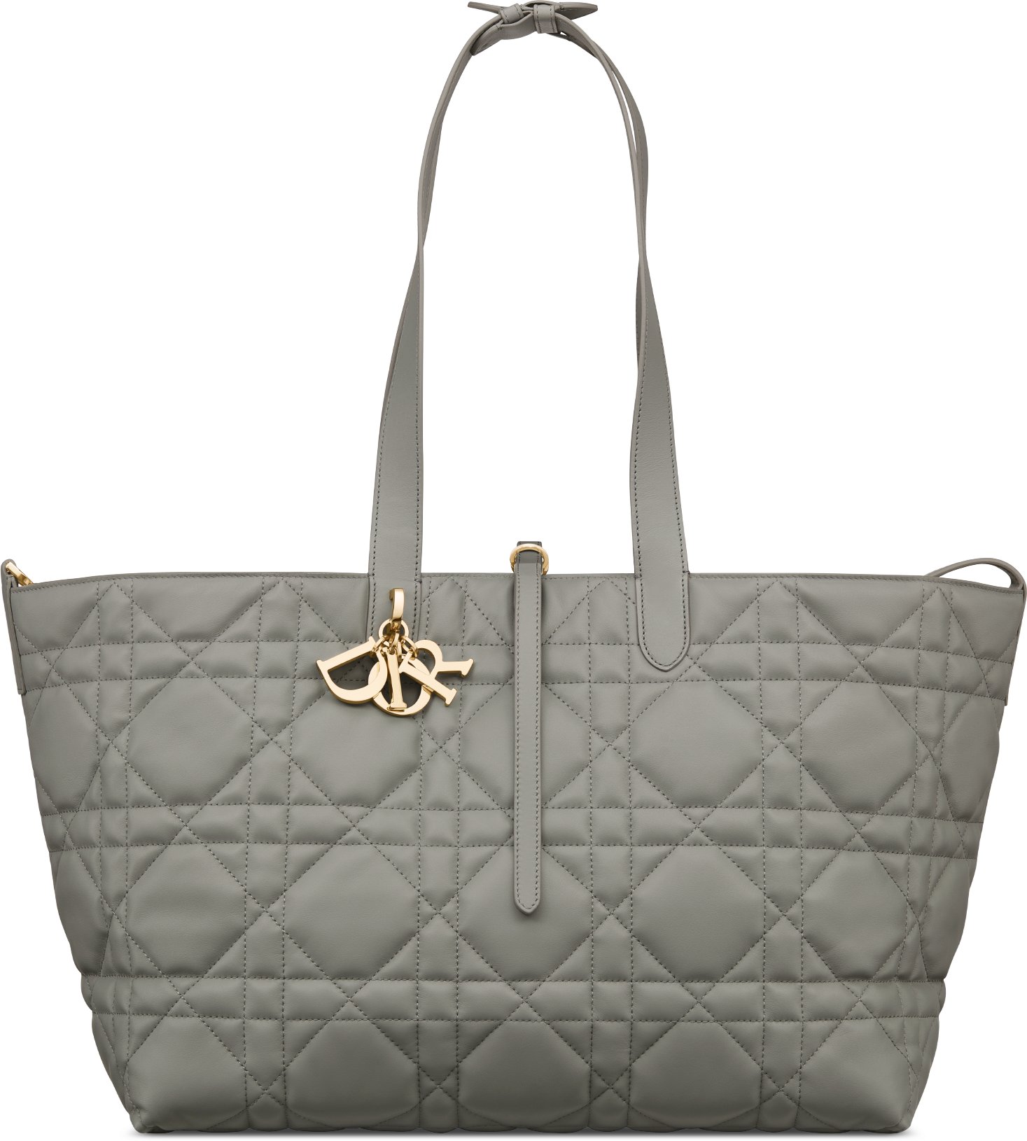 Dior tote 2019 shop