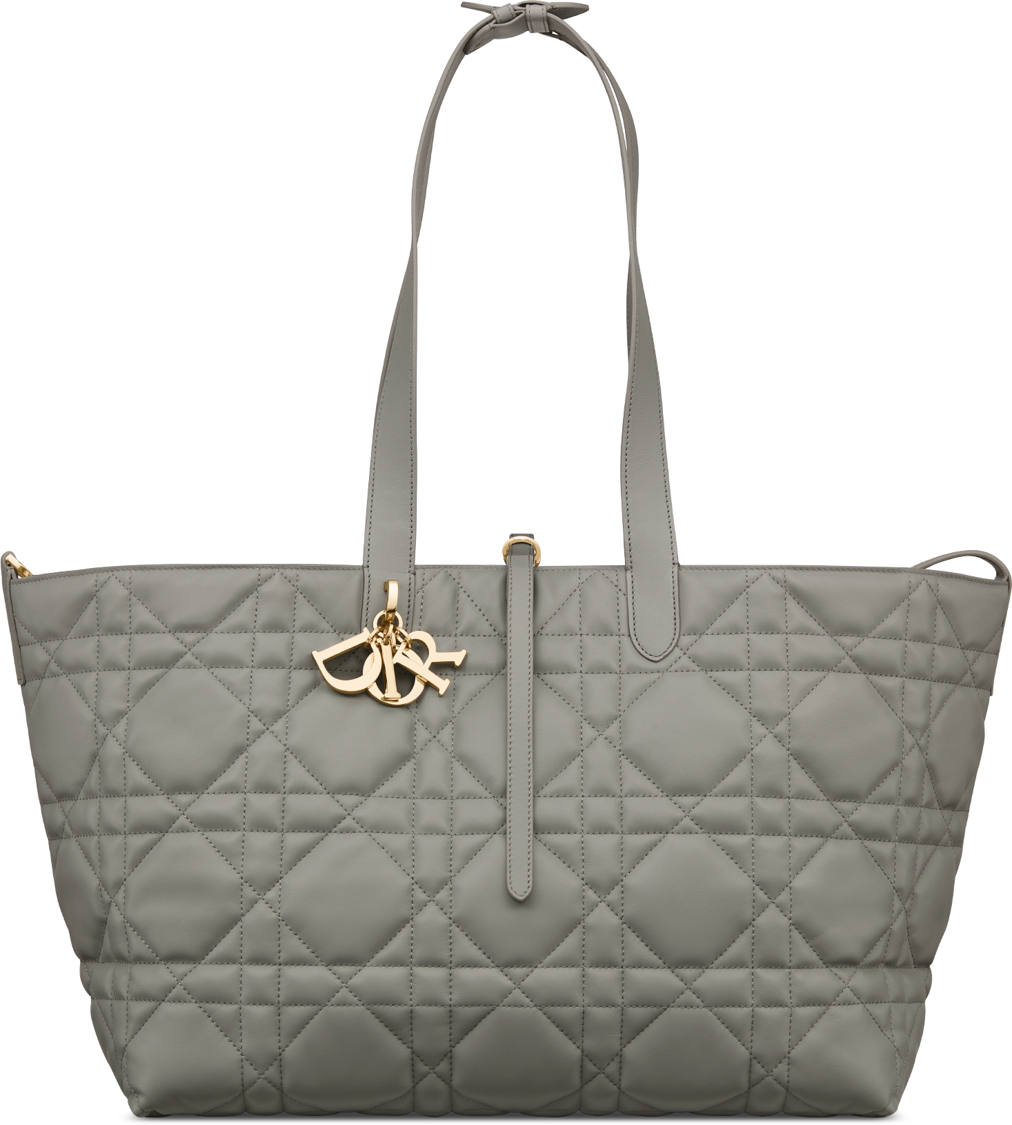 Dior tote 2019 hotsell