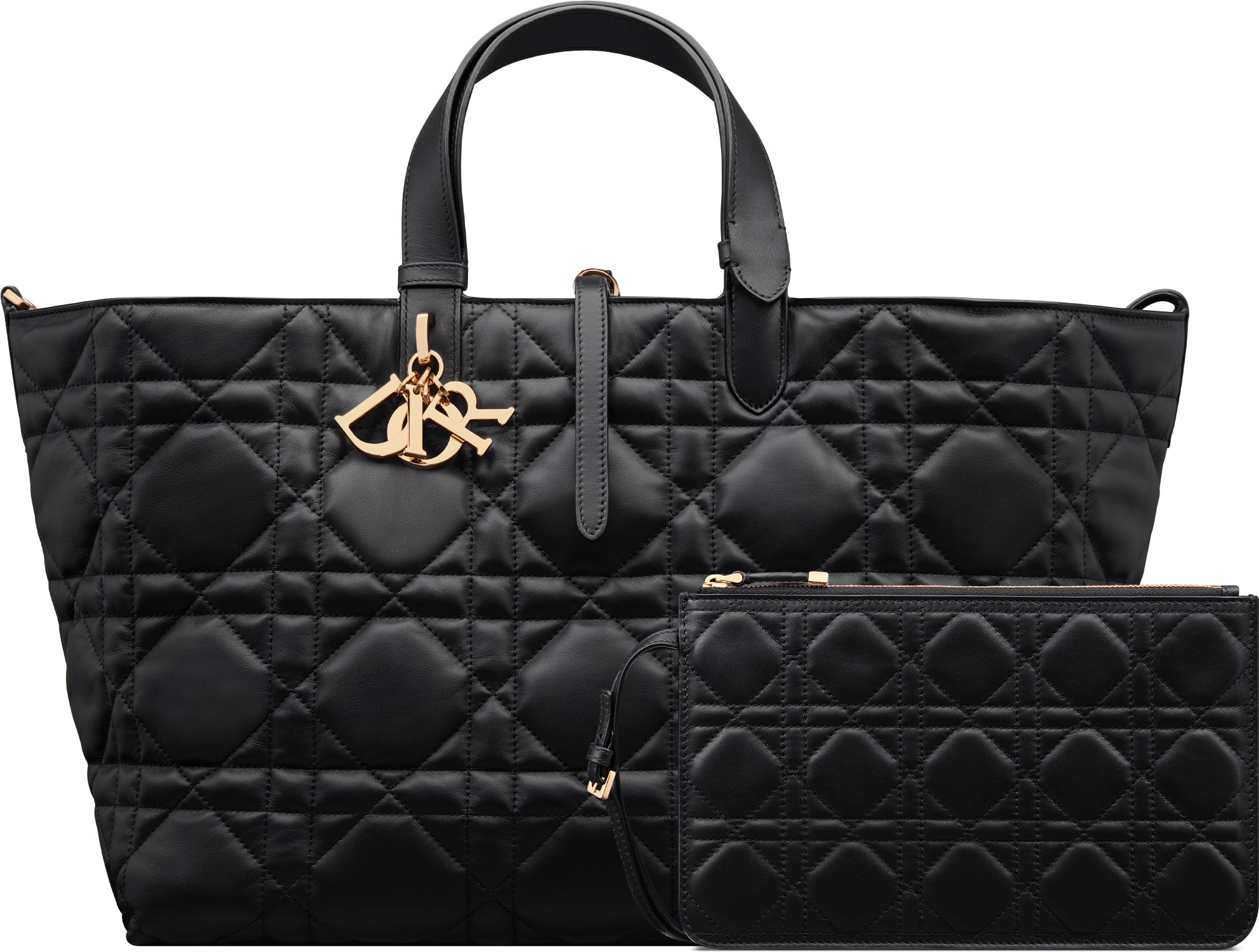 Large dior bag cheap