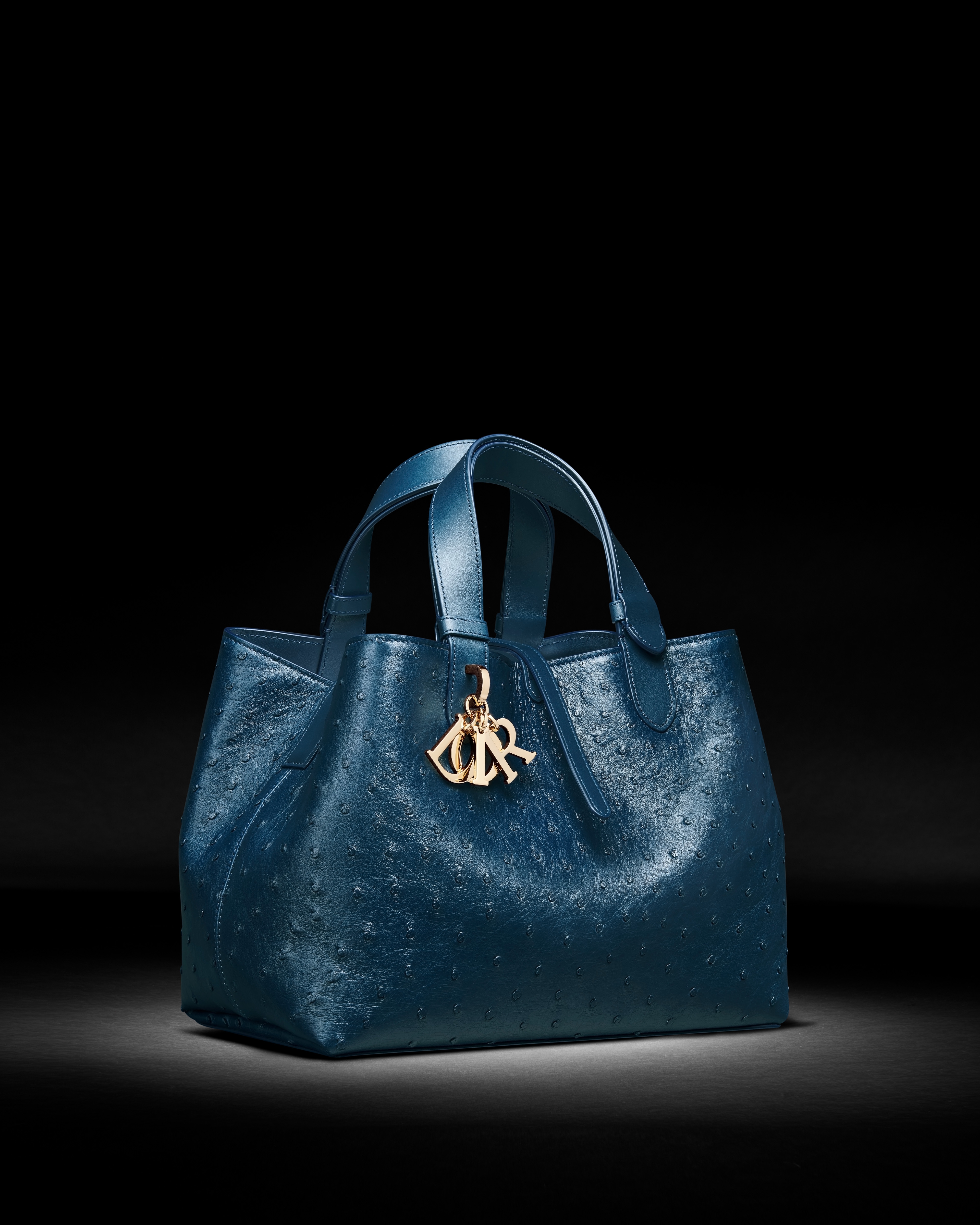 Medium Dior Toujours Bag