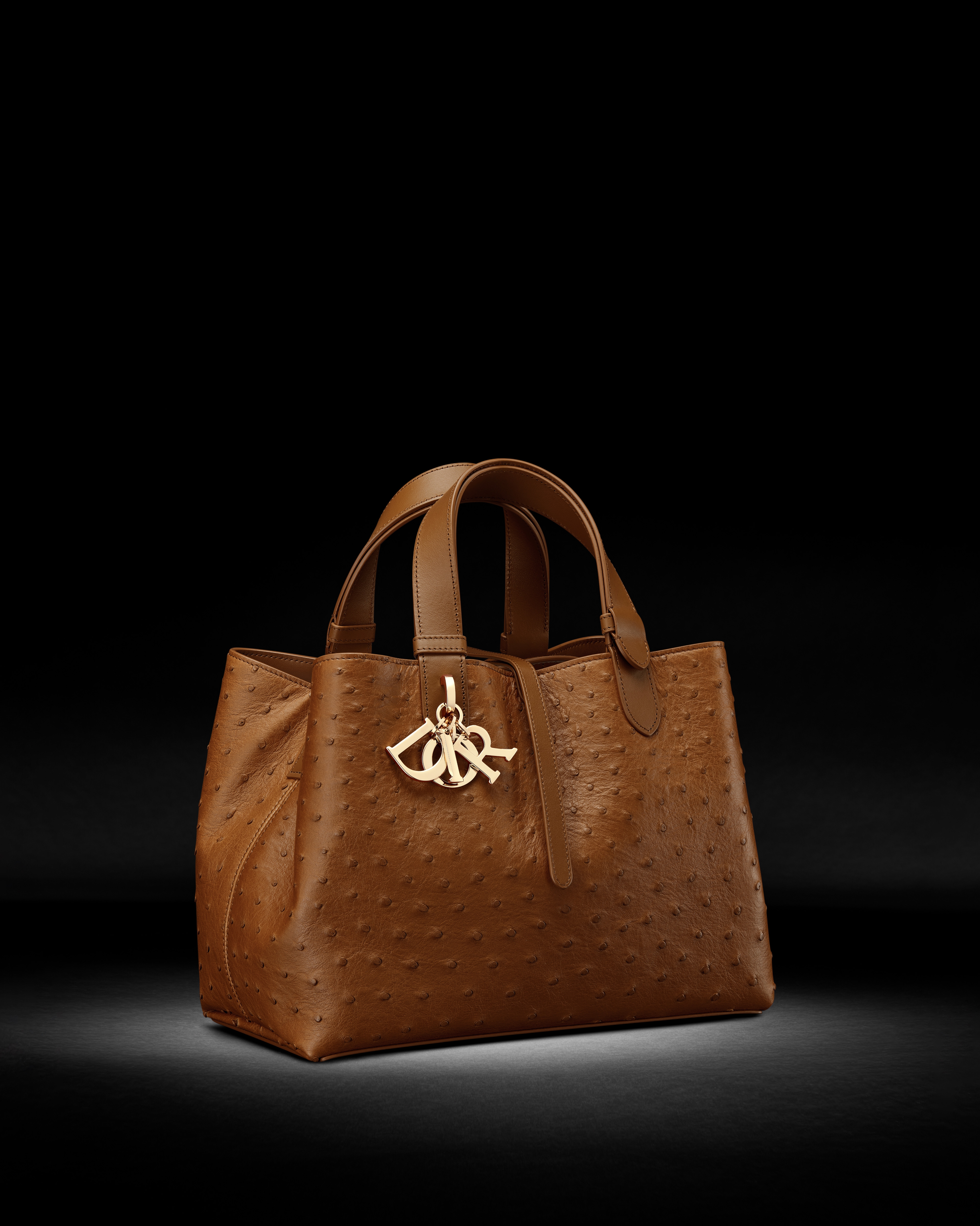 Medium Dior Toujours Bag