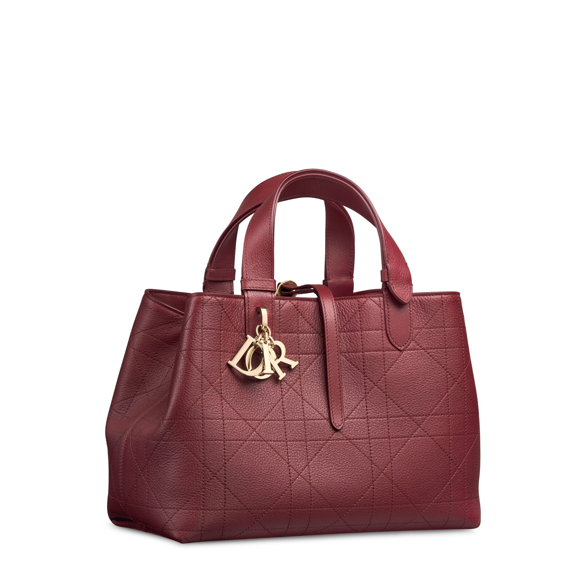 Medium Dior Toujours Bag