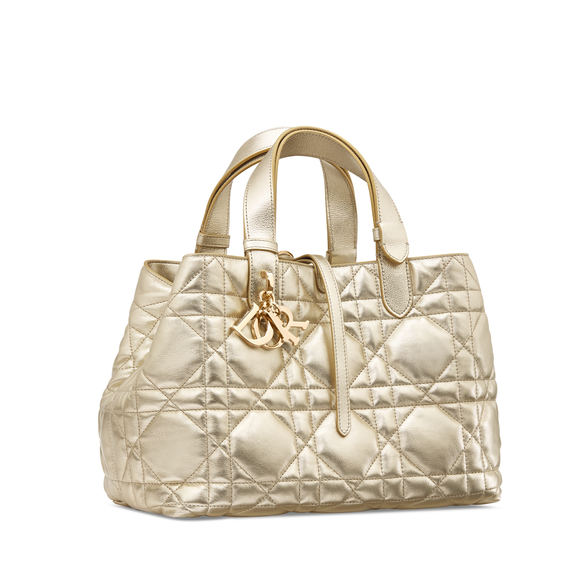 Small Dior Toujours Vertical Tote Bag Silver-Tone Iridescent