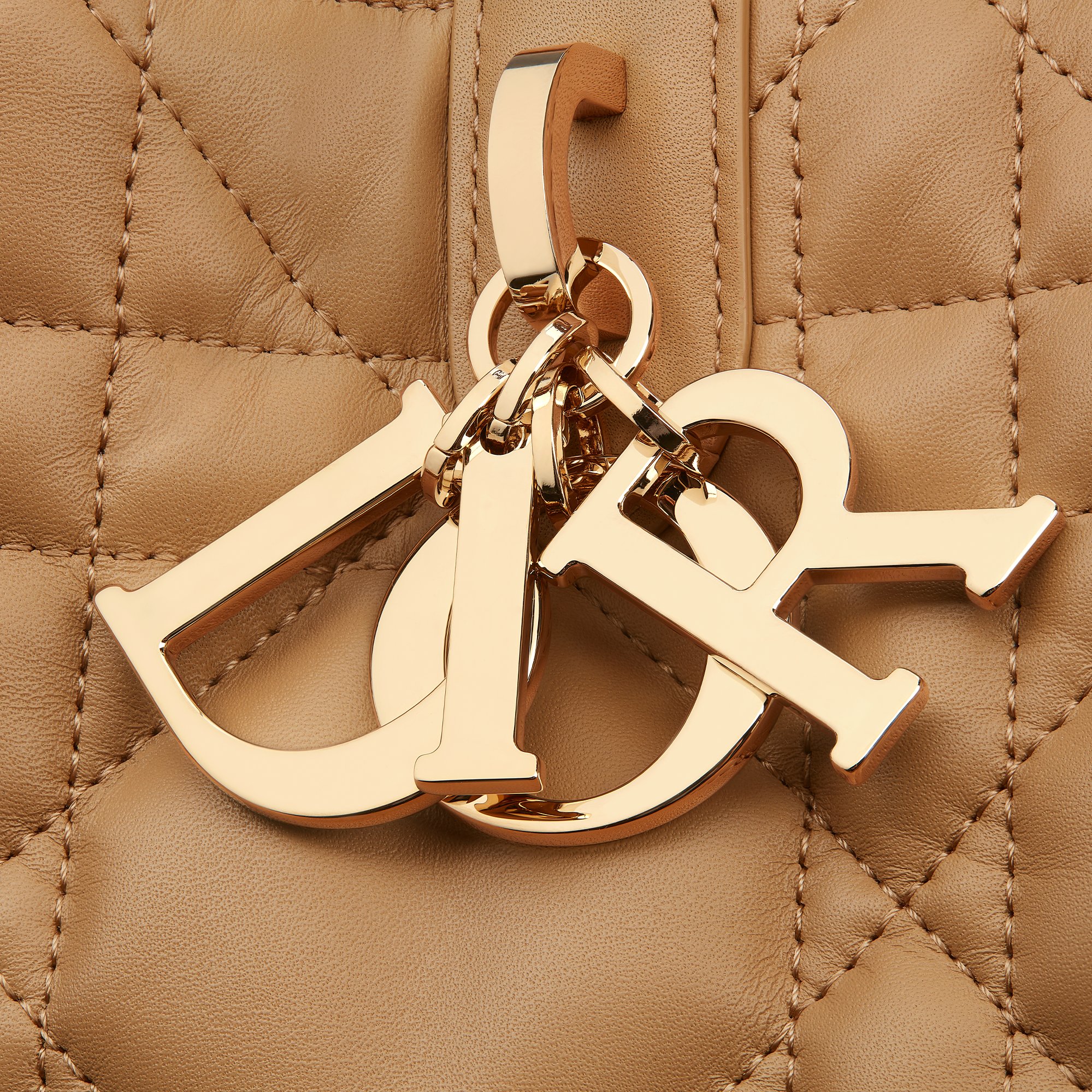 Medium Dior Toujours Bag Detailed view