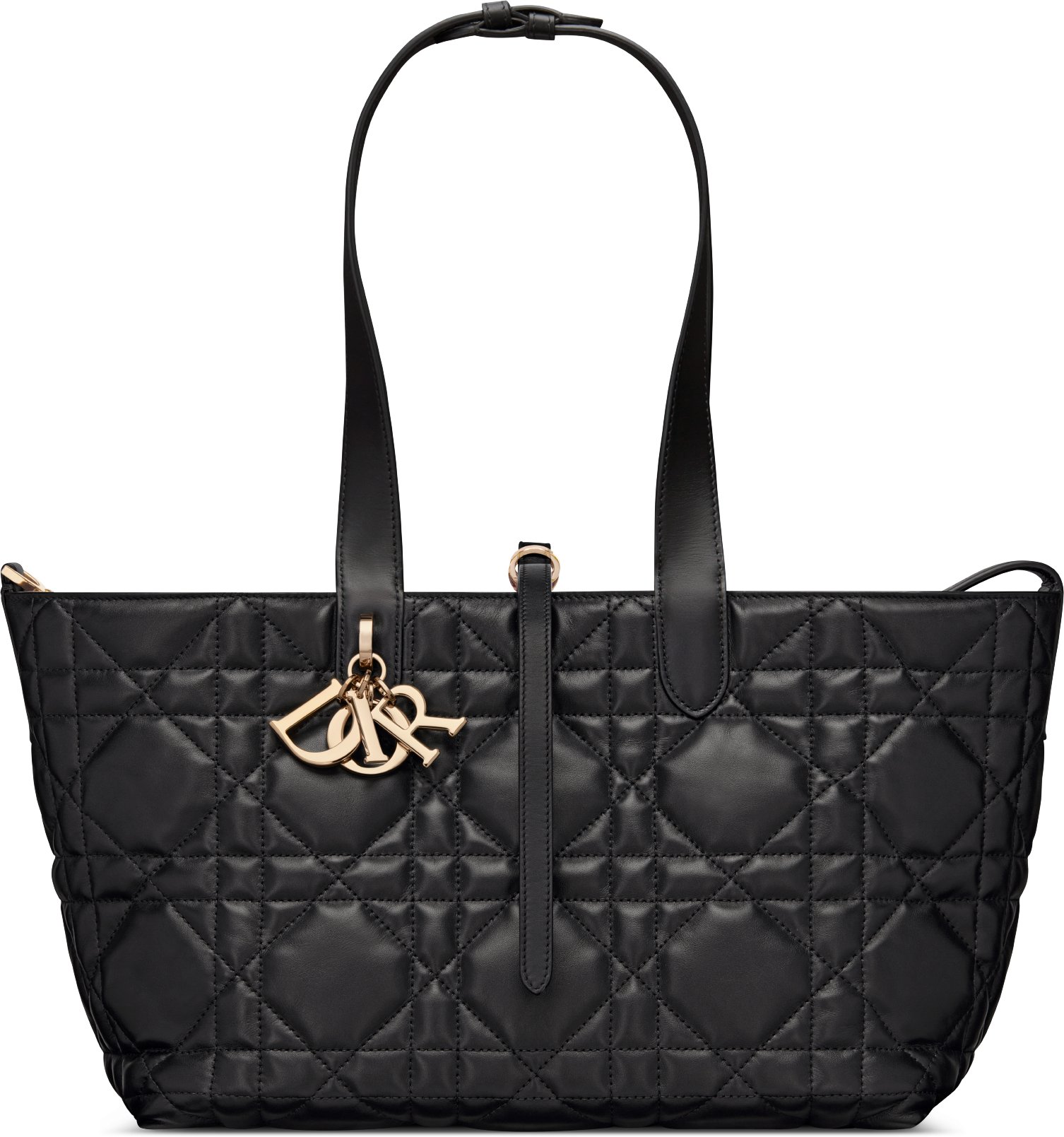 Dior new bag 2019 deals
