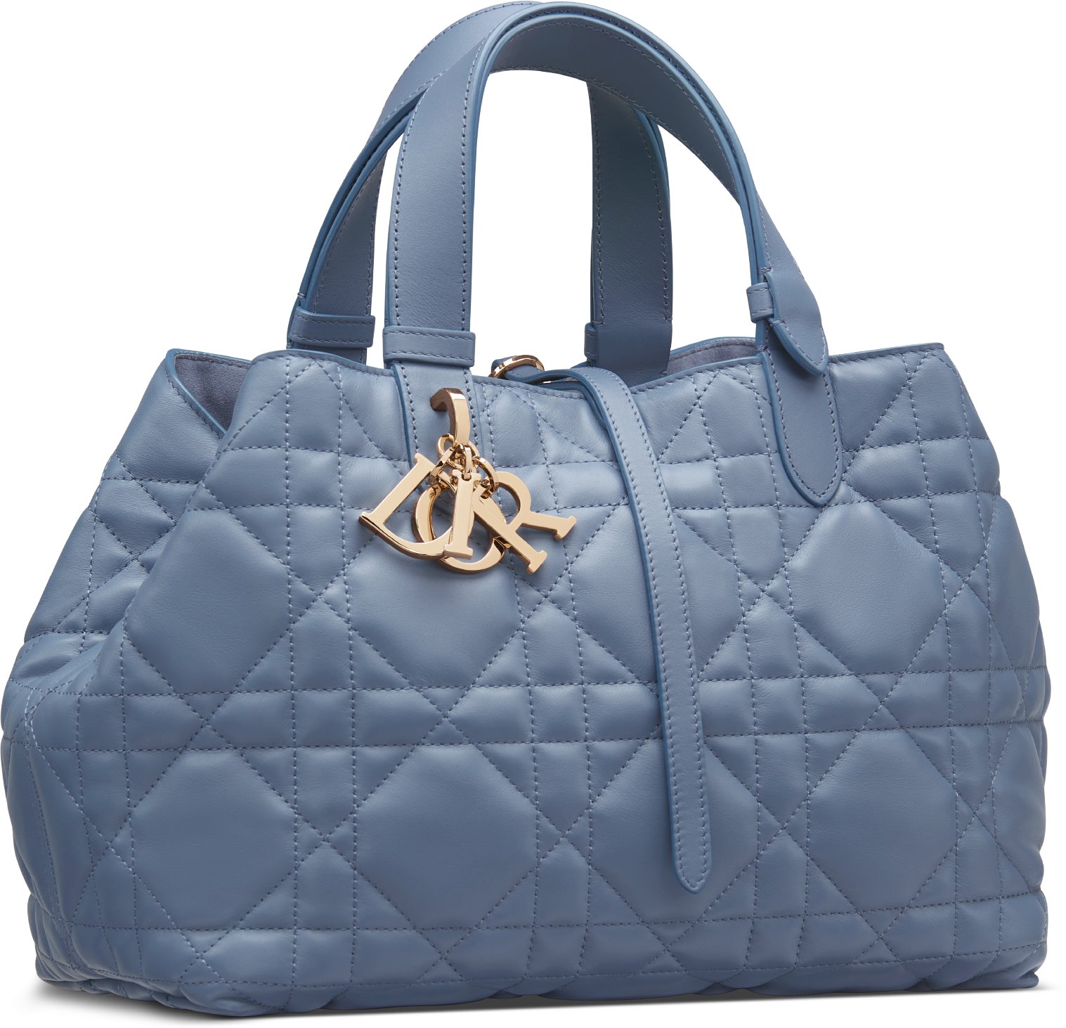 Le sac Dior Toujours News Defiles DIOR