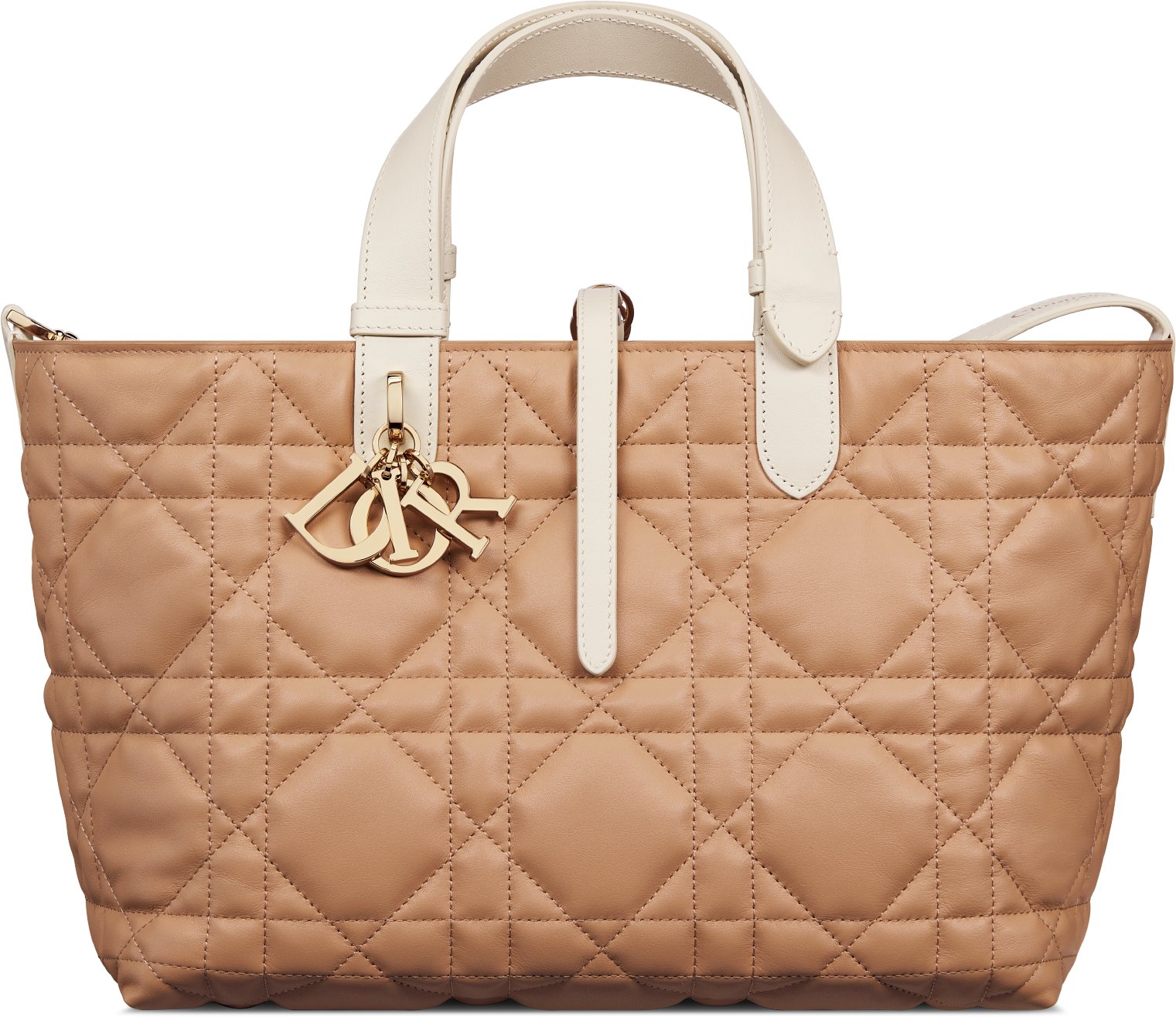 中碼 Dior Toujours 手袋 aria_frontView