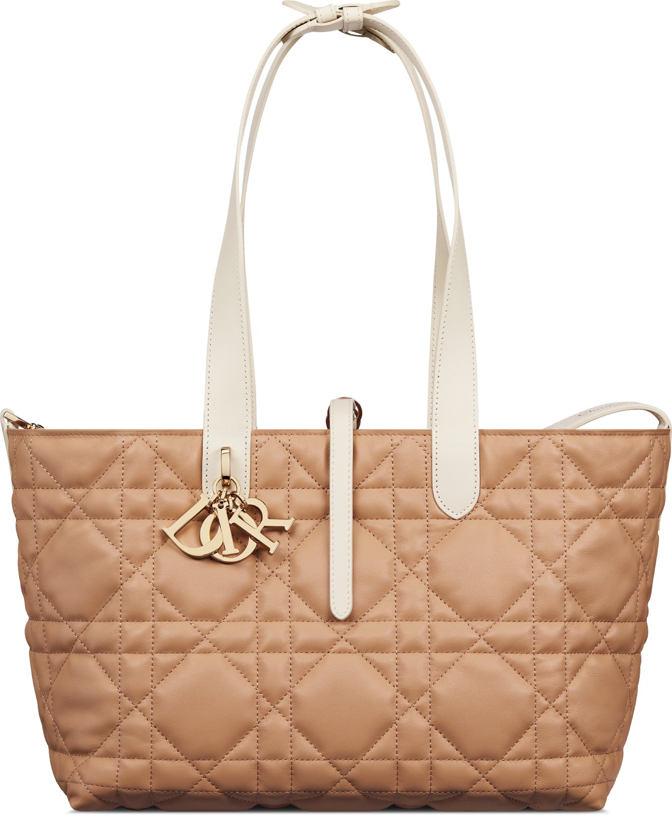 中碼 Dior Toujours 手袋 aria_unfoldedView