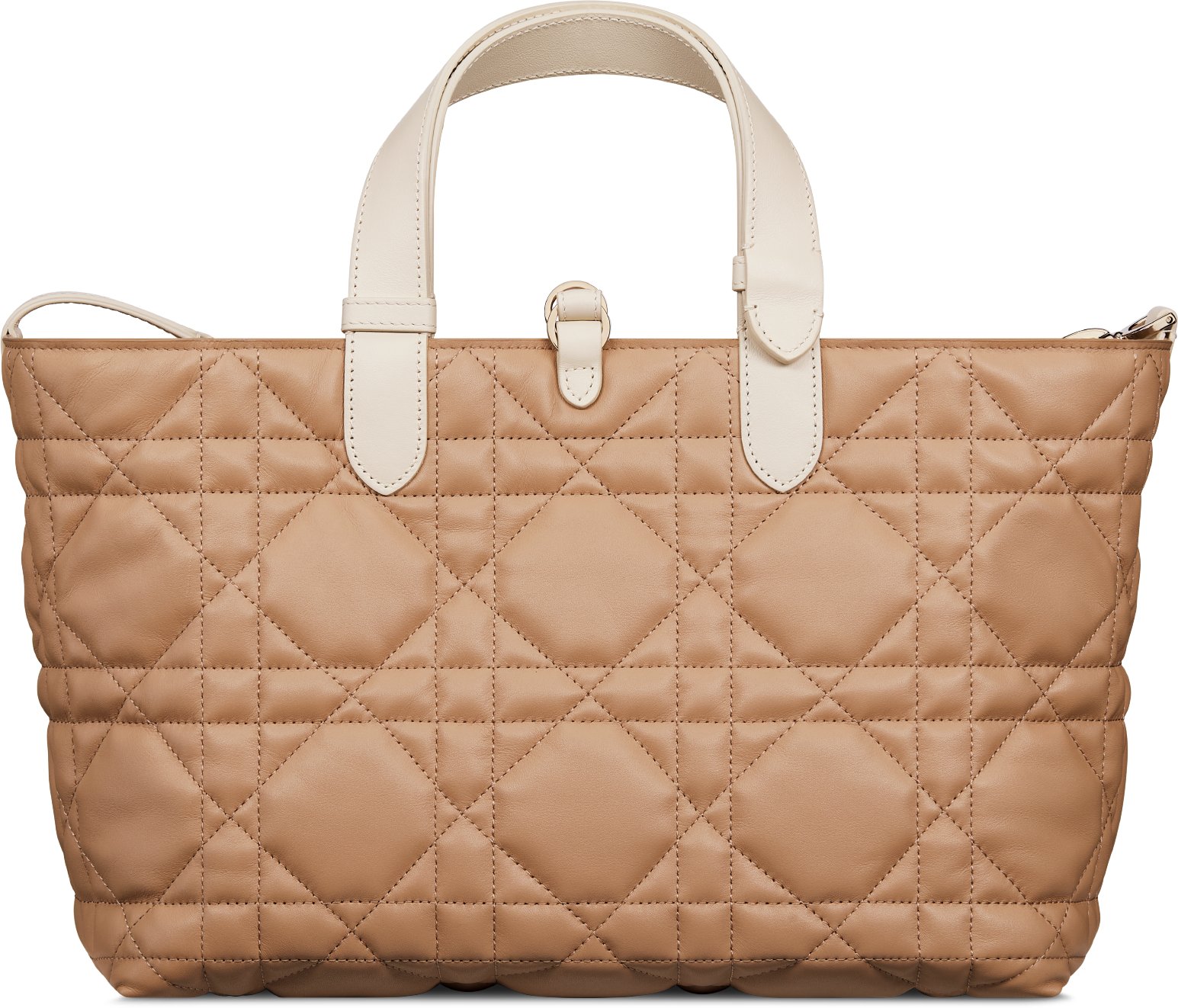 中碼 Dior Toujours 手袋 aria_backView