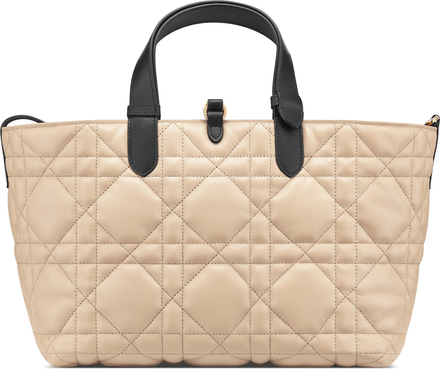 Medium Dior Toujours Bag Back view