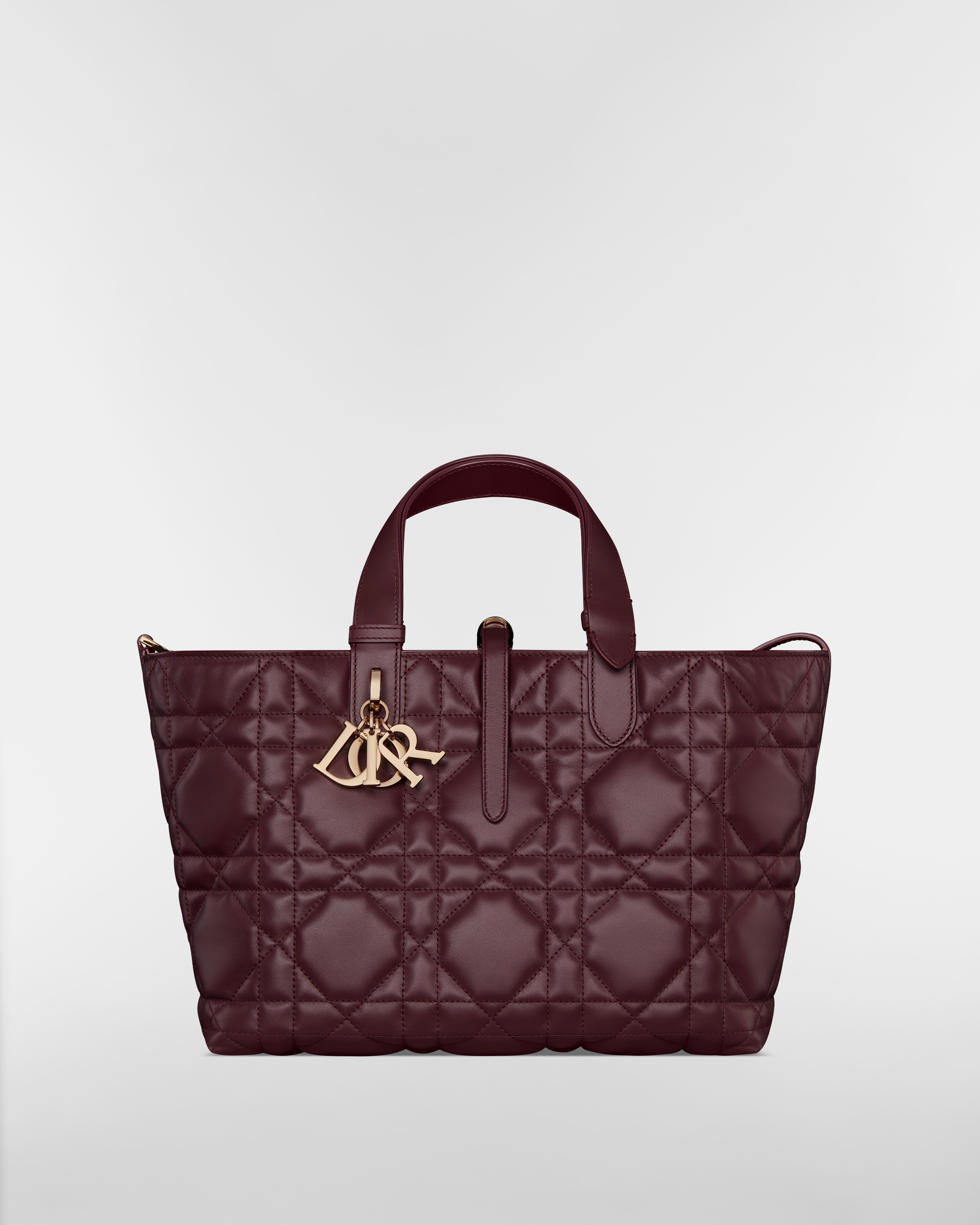 Medium Dior Toujours Bag Plum Macrocannage Calfskin E01