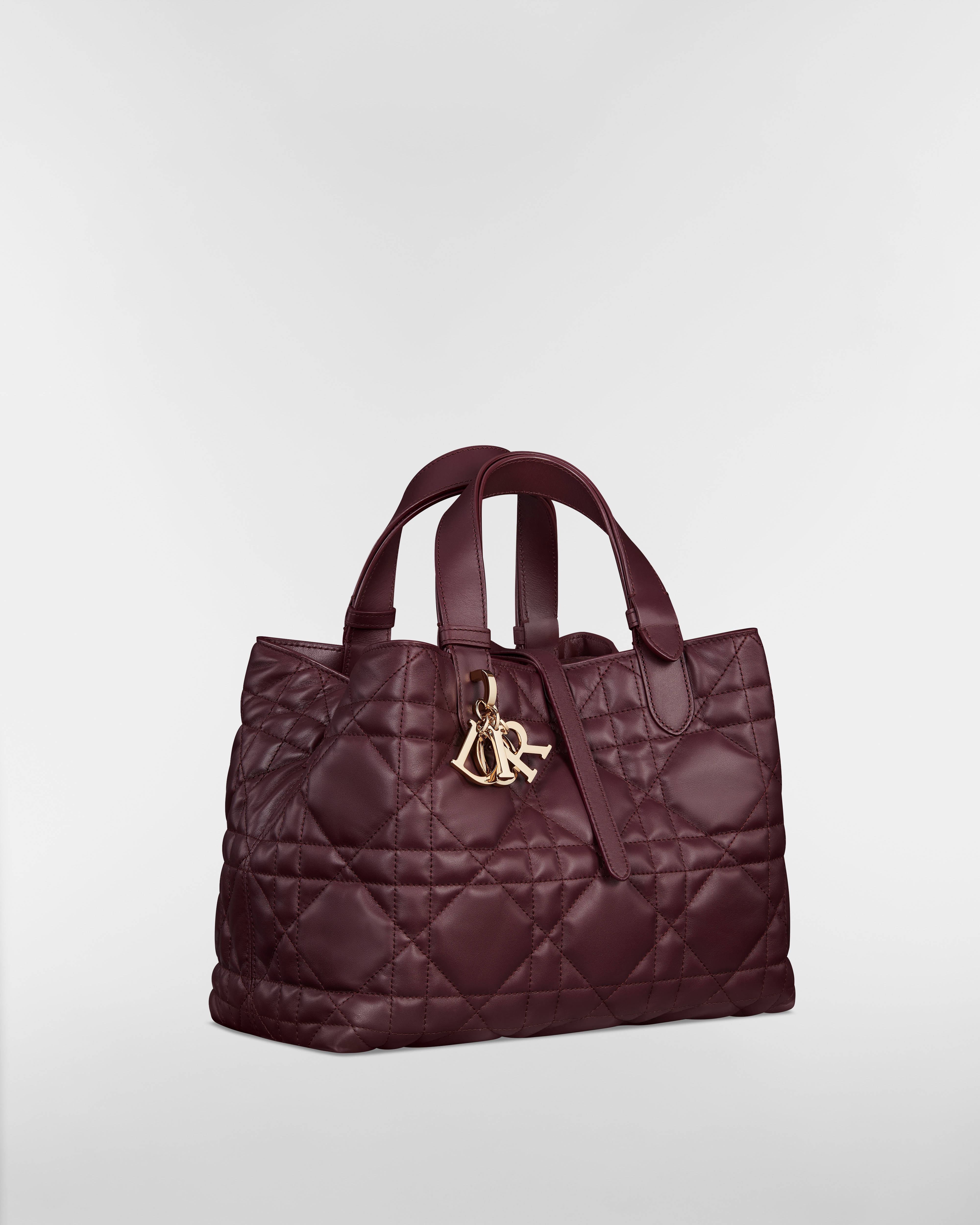 Medium Dior Toujours Bag Plum Macrocannage Calfskin E03