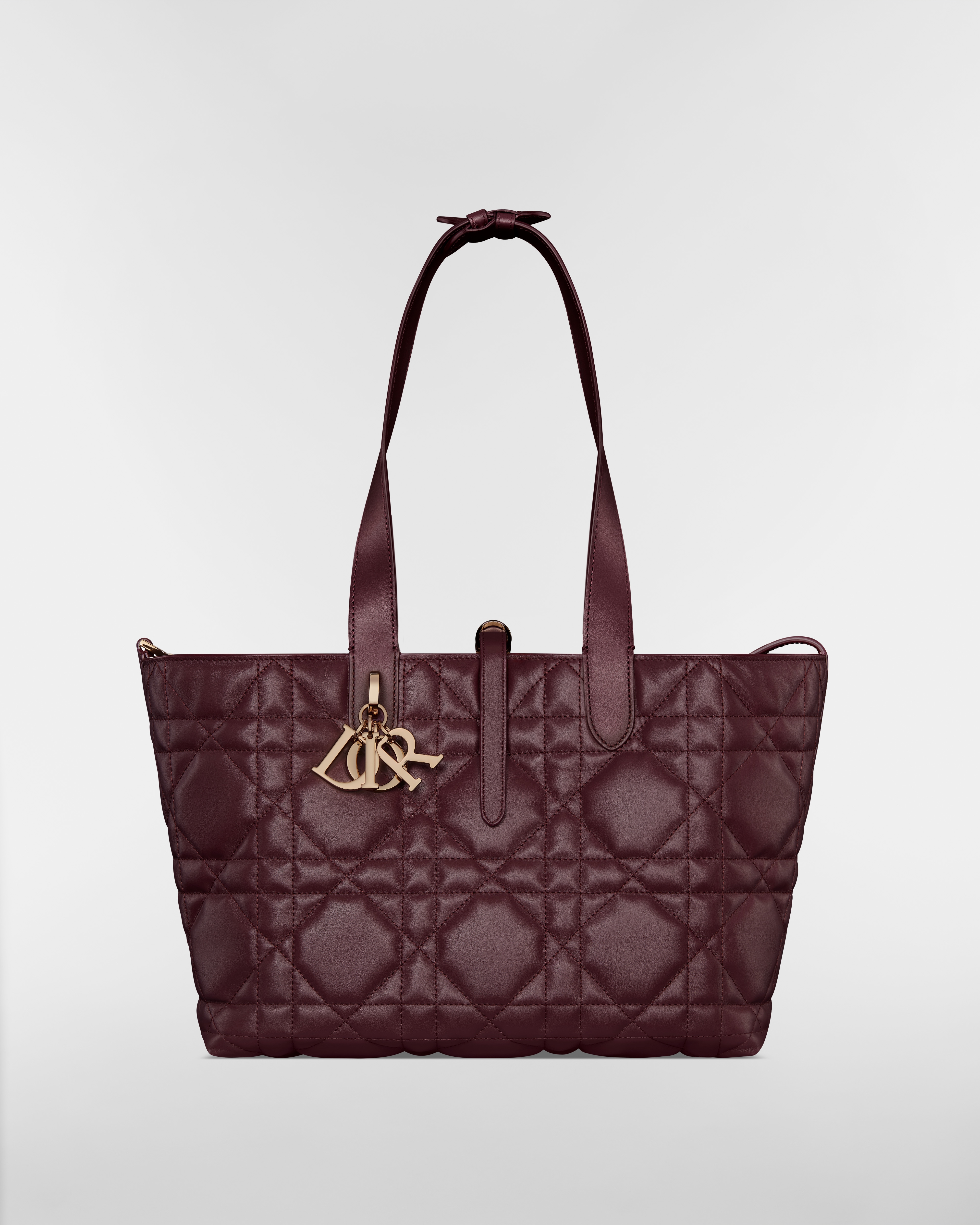 Medium Dior Toujours Bag Plum Macrocannage Calfskin E07