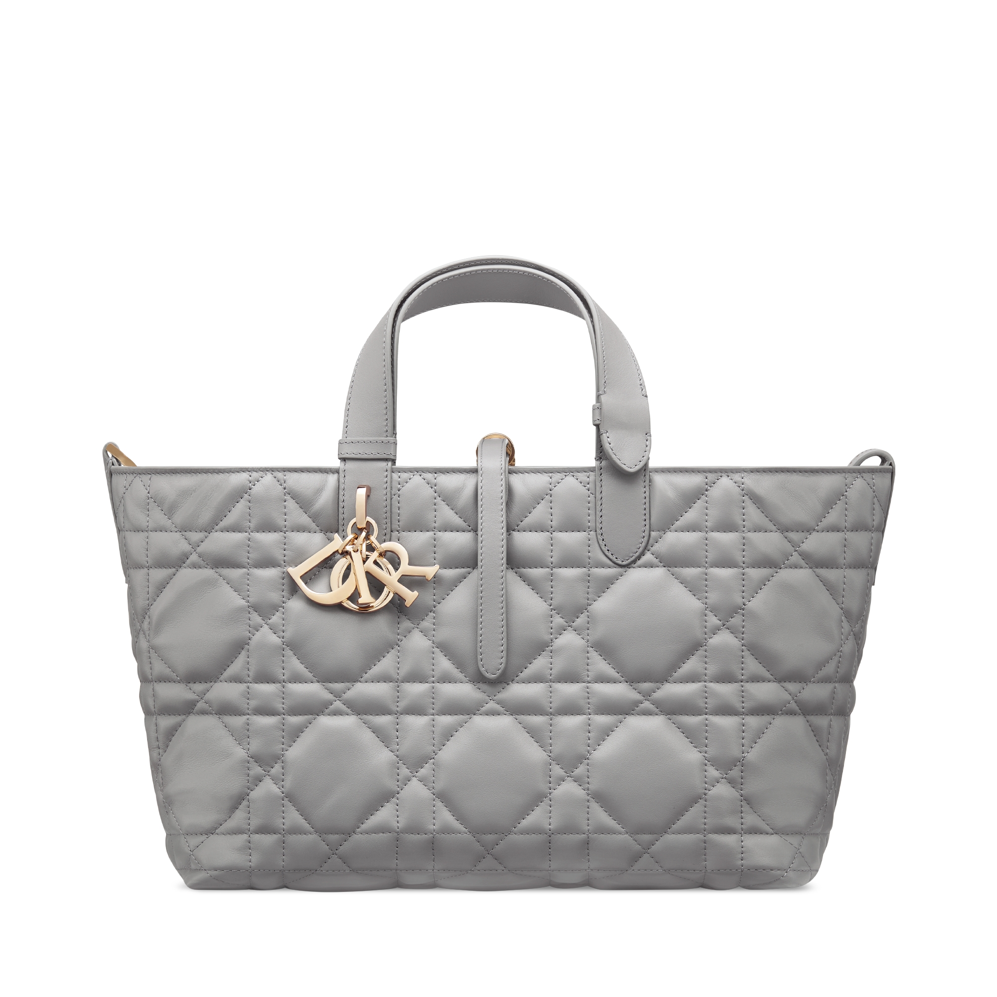 Dior Toujours 미디엄 백 앤트러사이트 그레이 매크로까나쥬 송아지 가죽 E01