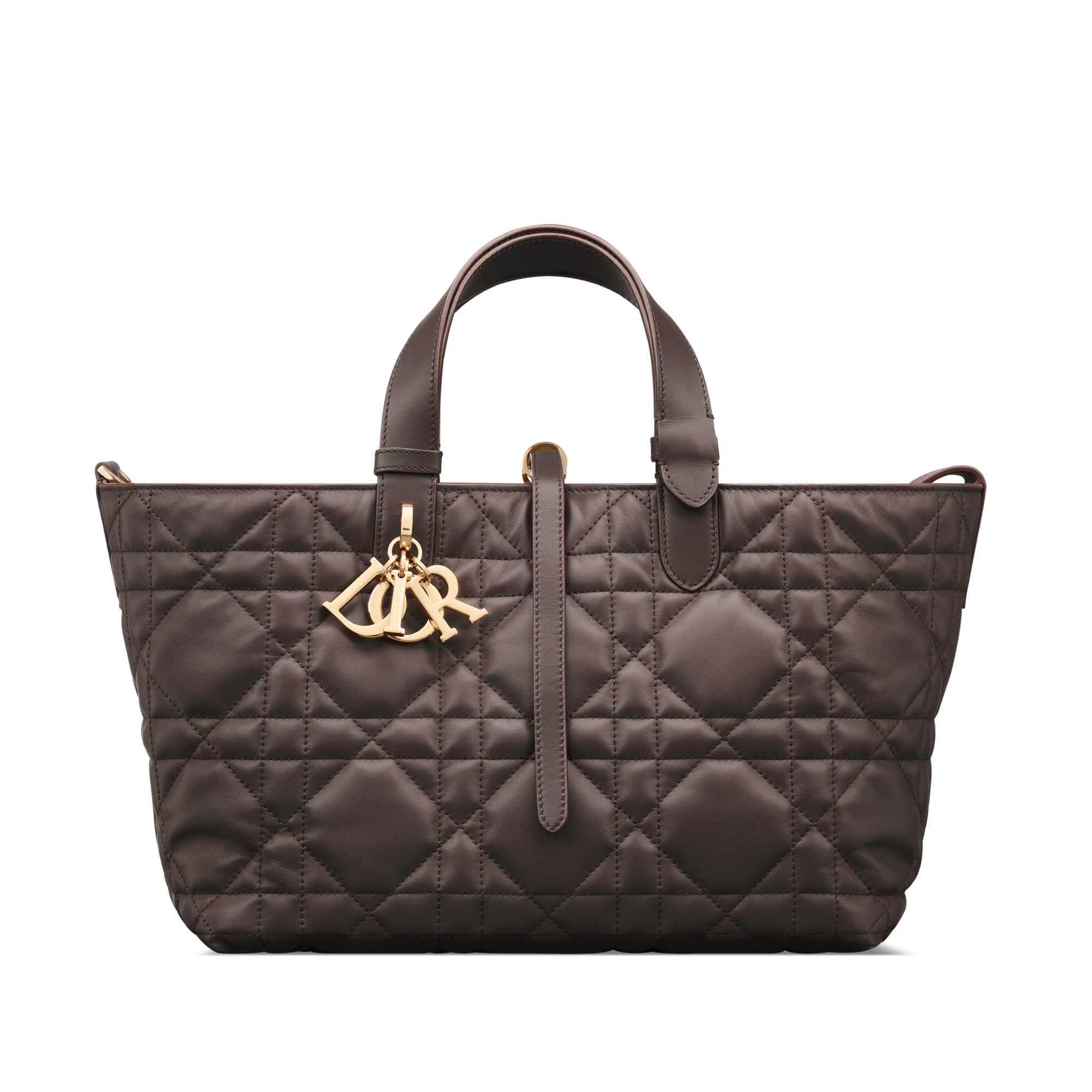 Dior Toujours バッグ ミディアム マクロカナージュ カーフスキン E01