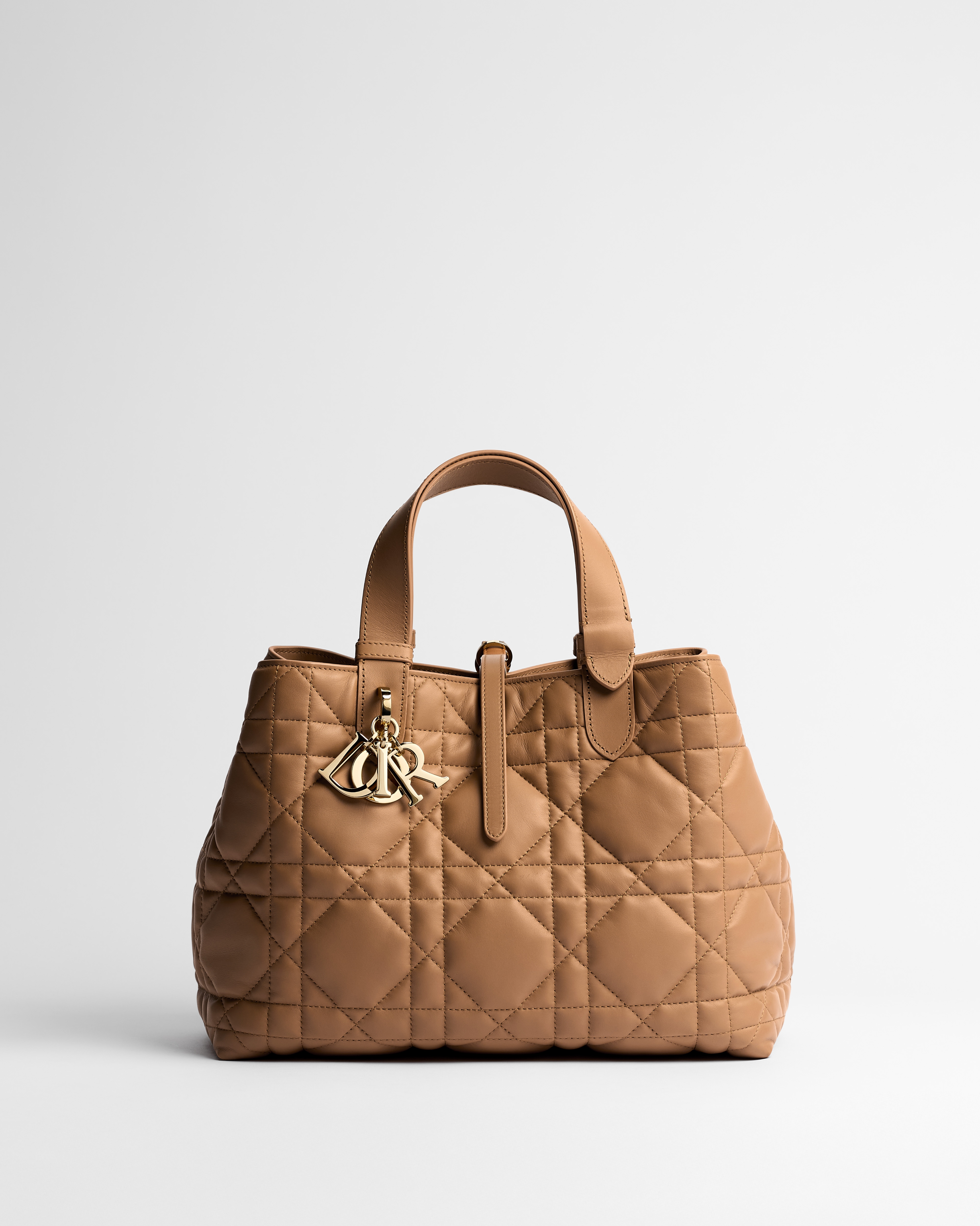 Medium Dior Toujours Bag