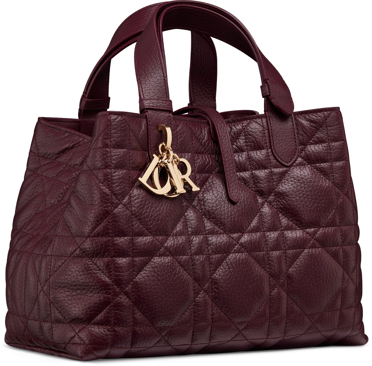 Borsa media Dior Toujours aria_threeQuarterClosedView