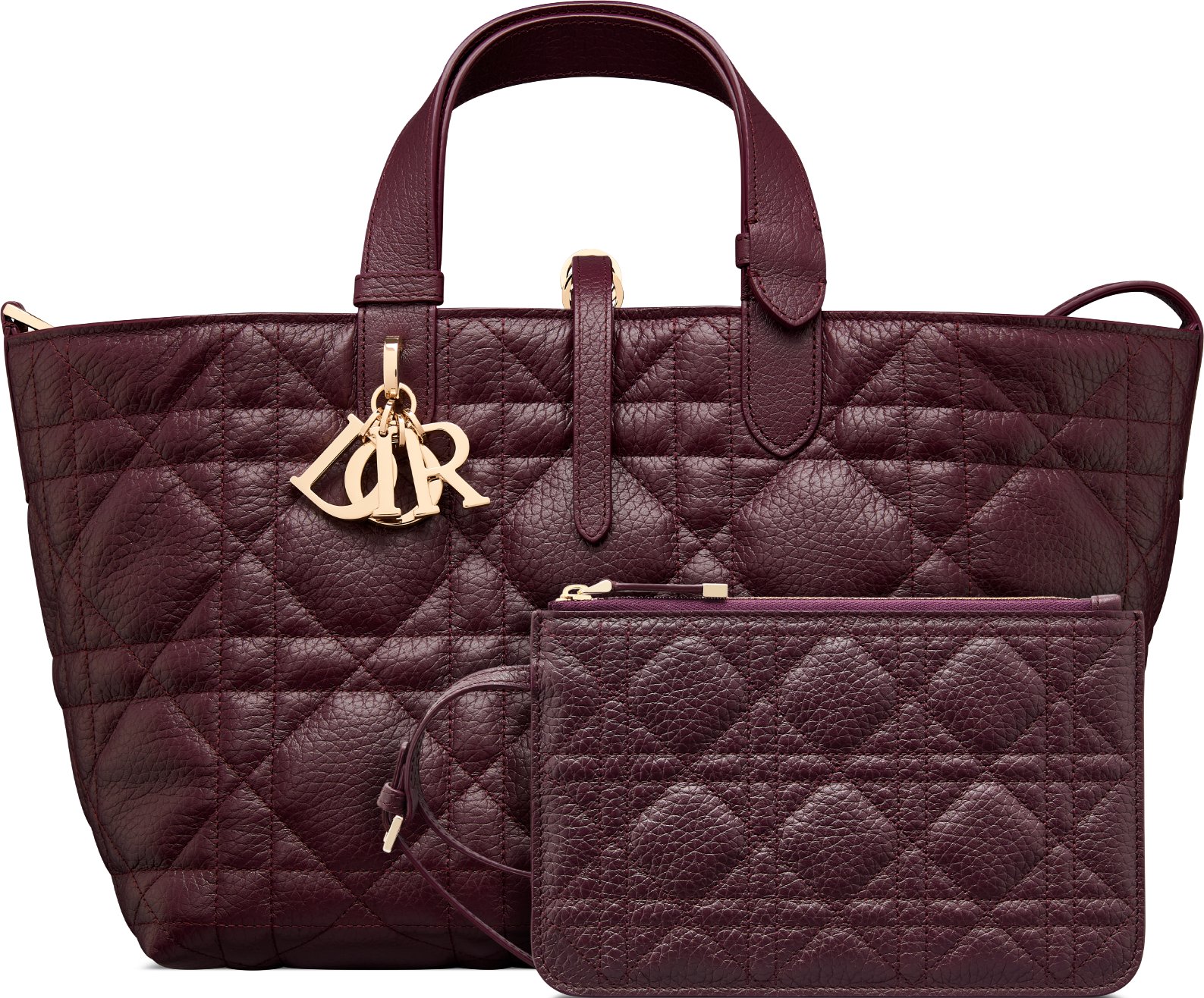 Borsa media Dior Toujours aria_detailedView