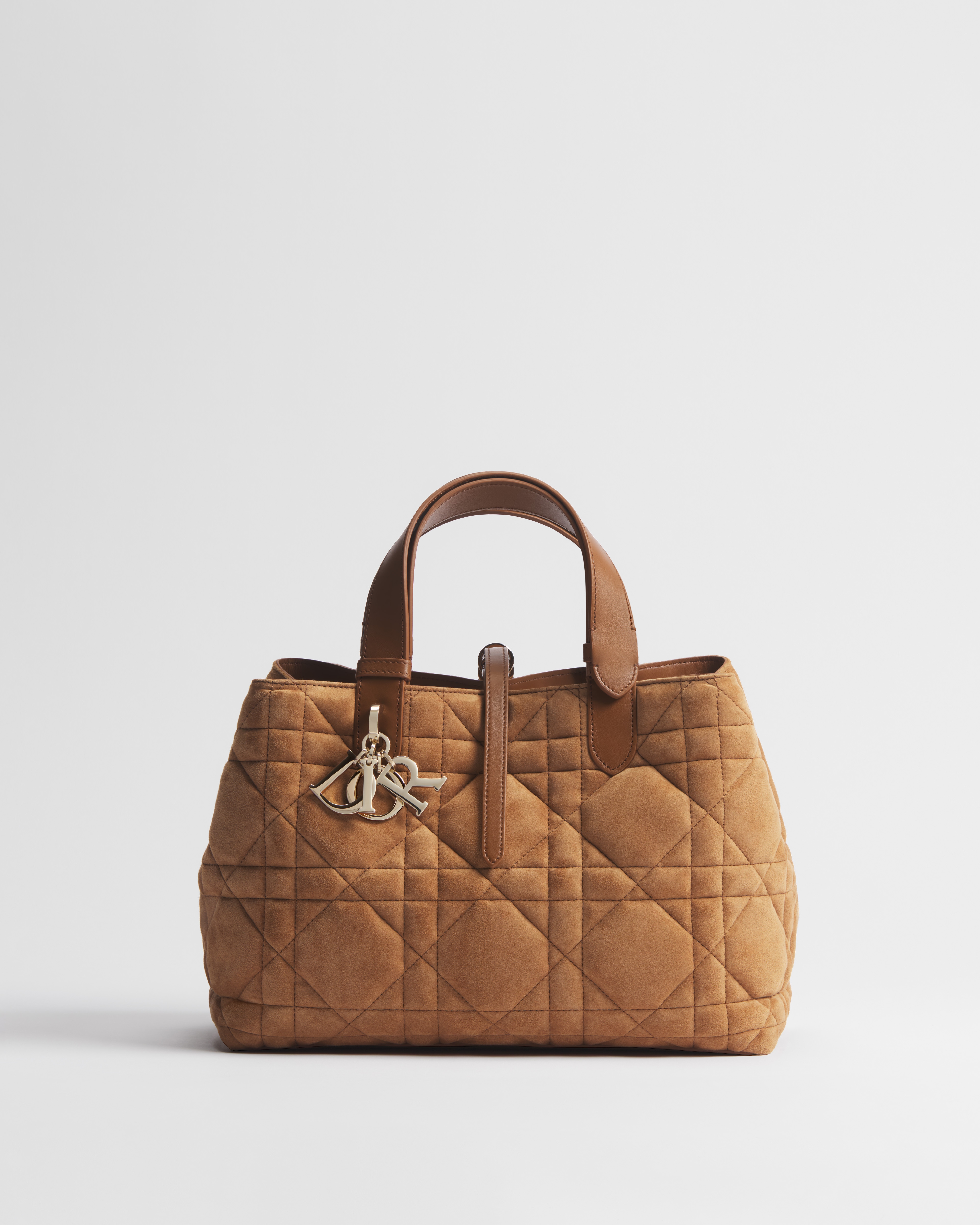 Borsa media Dior Toujours Pelle di capra scamosciata Macrocannage oro saddle E01