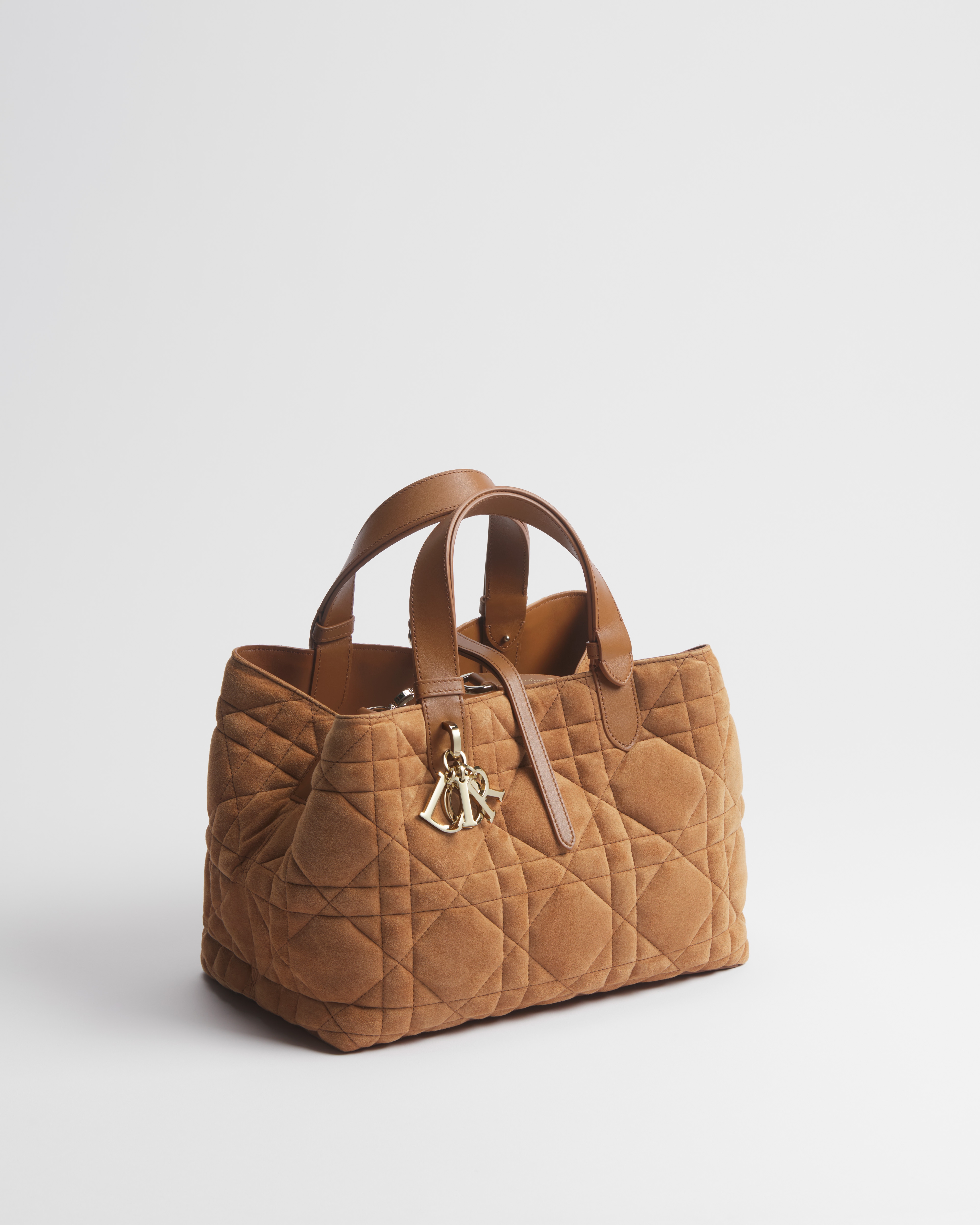 Borsa media Dior Toujours Pelle di capra scamosciata Macrocannage oro saddle E03