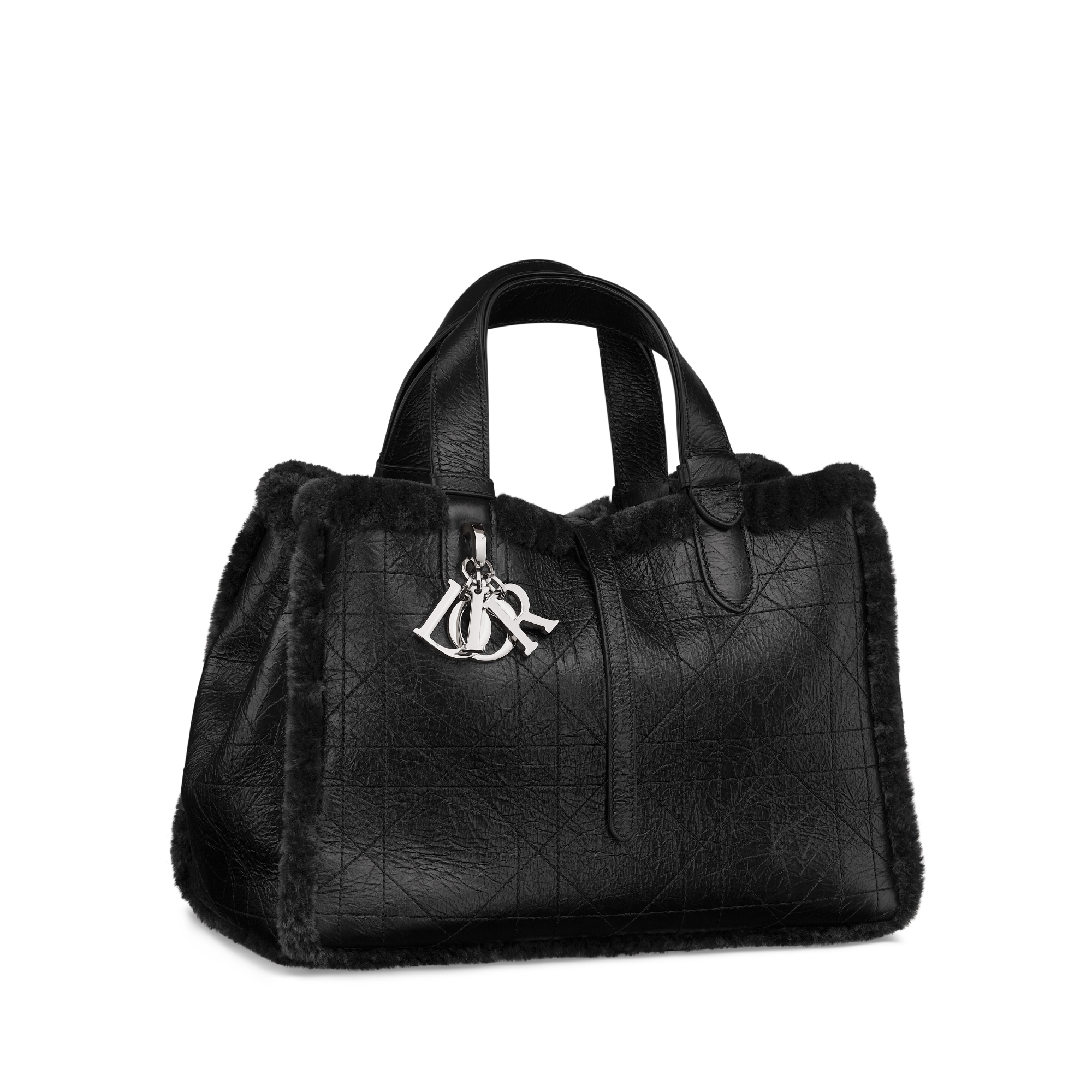 DiorAlps Medium Dior Toujours Bag