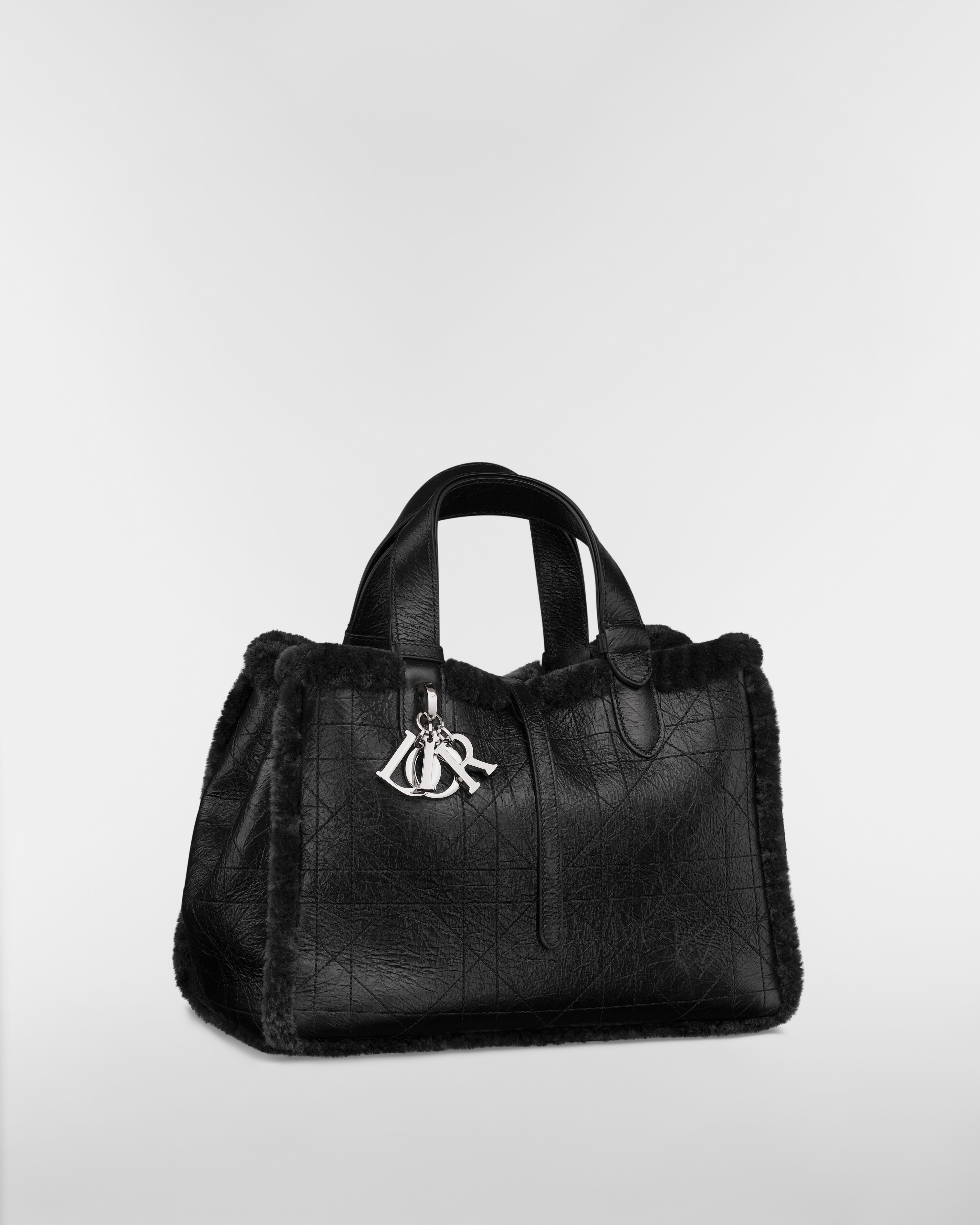DiorAlps Medium Dior Toujours Bag