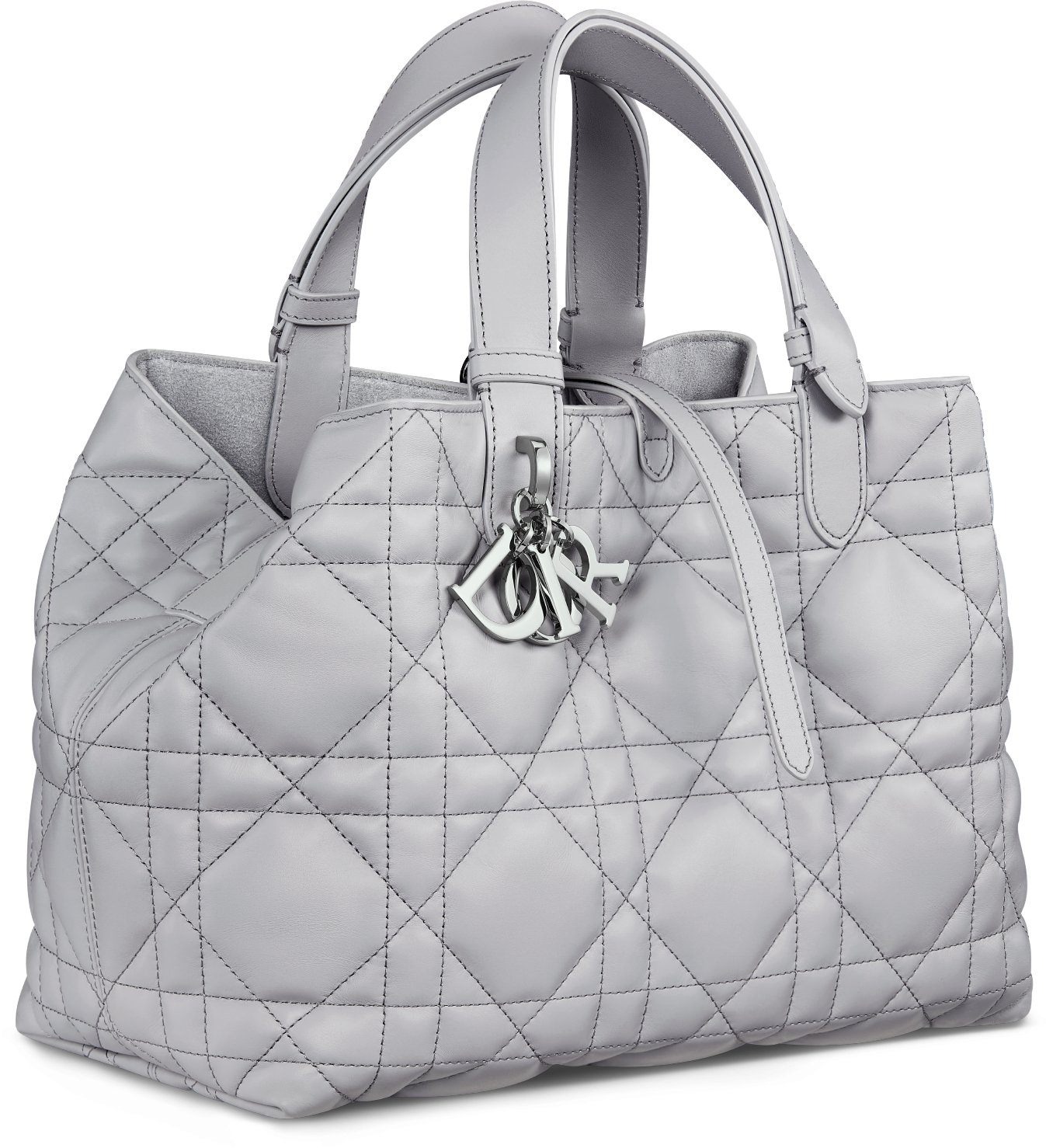 Medium Dior Toujours Bag