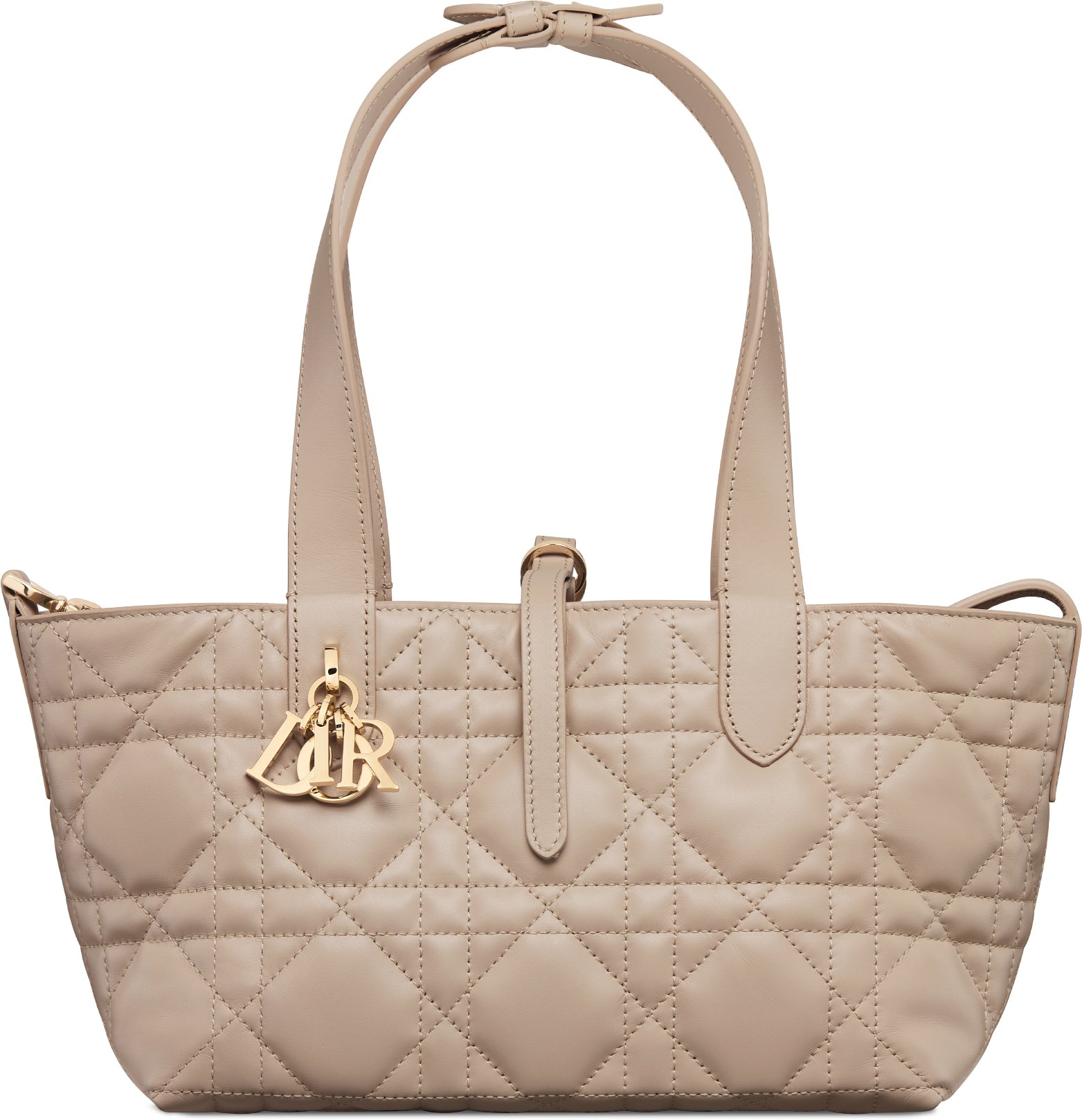 Small Dior Toujours Bag Unfolded view