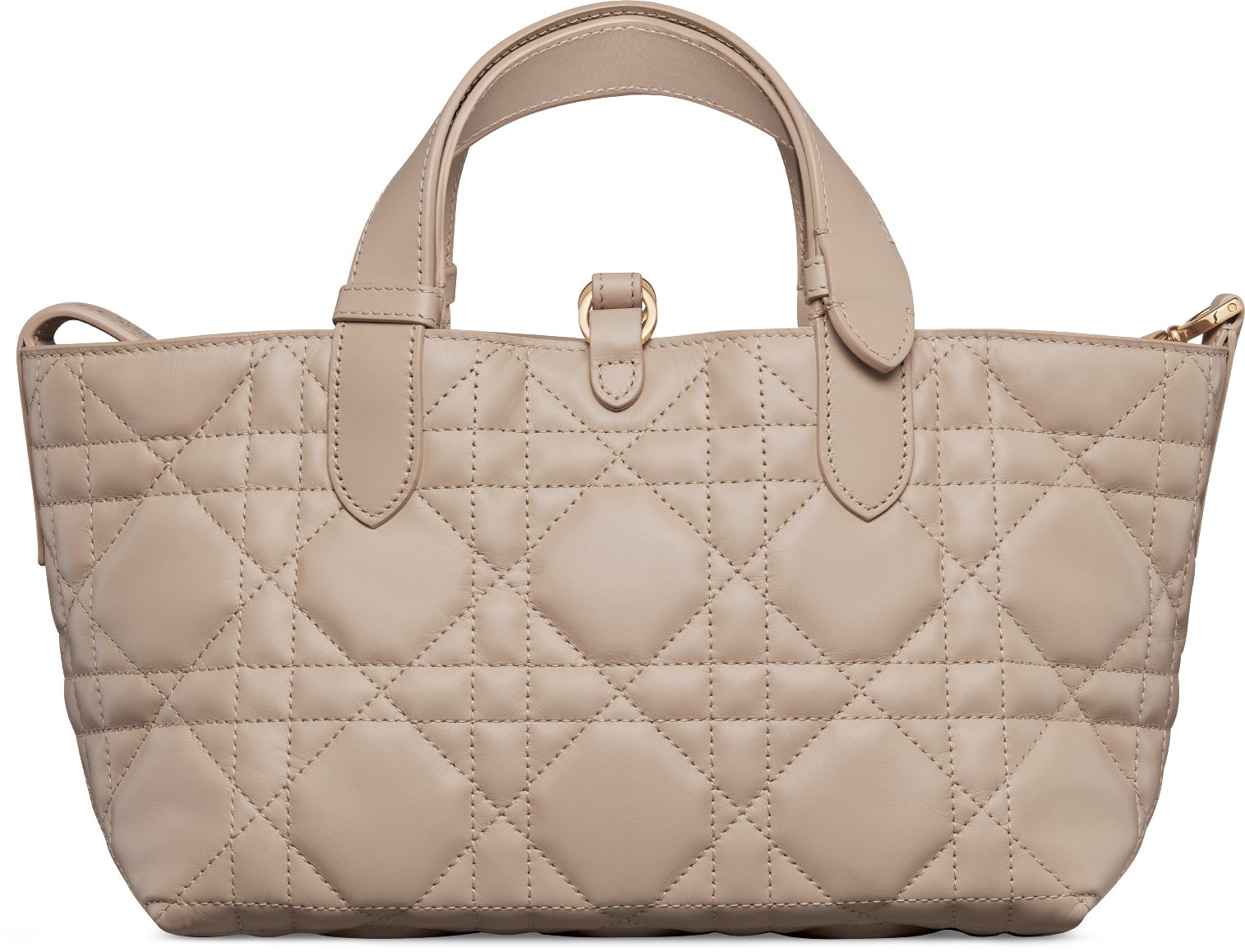 Small Dior Toujours Bag Back view