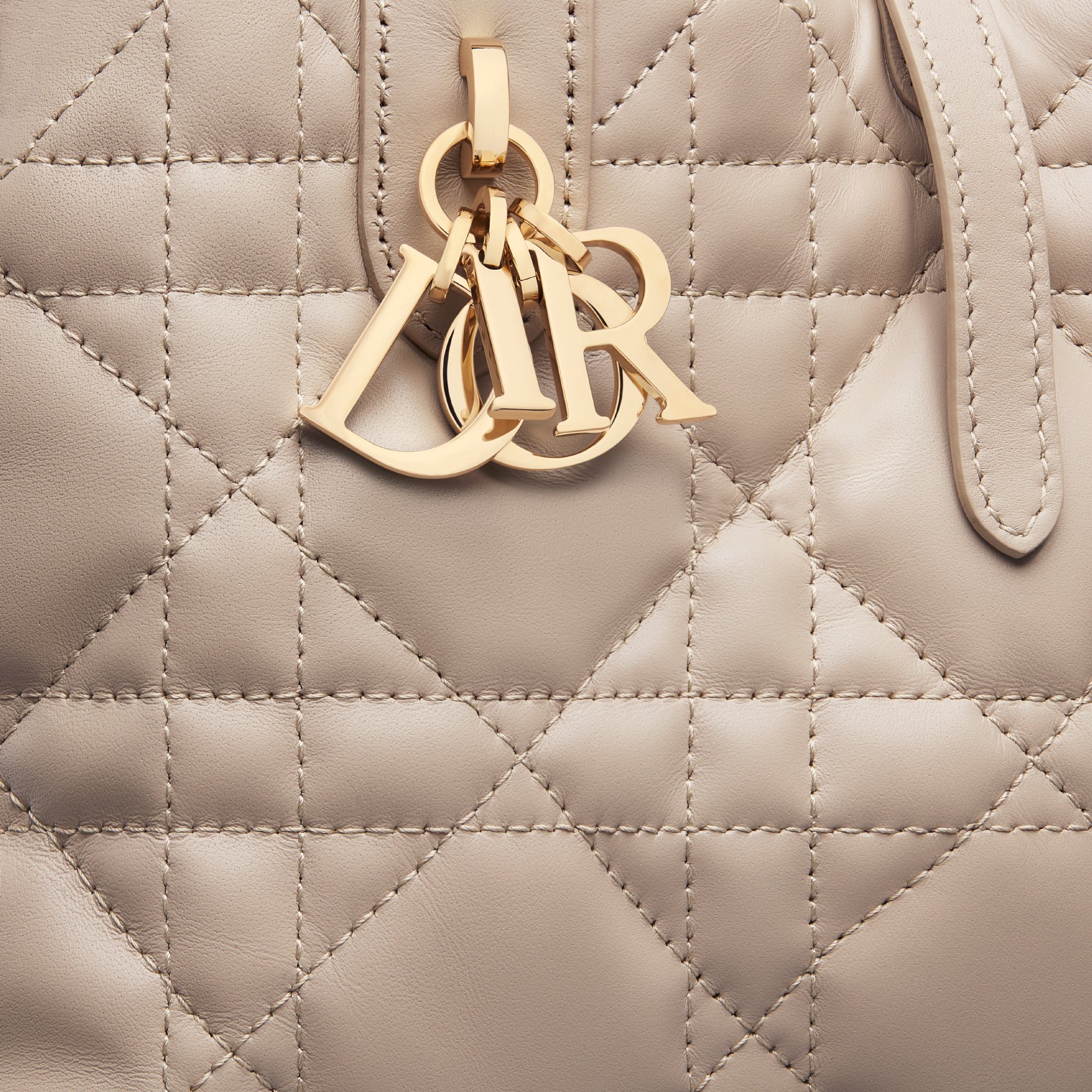 Small Dior Toujours Bag Detailed view