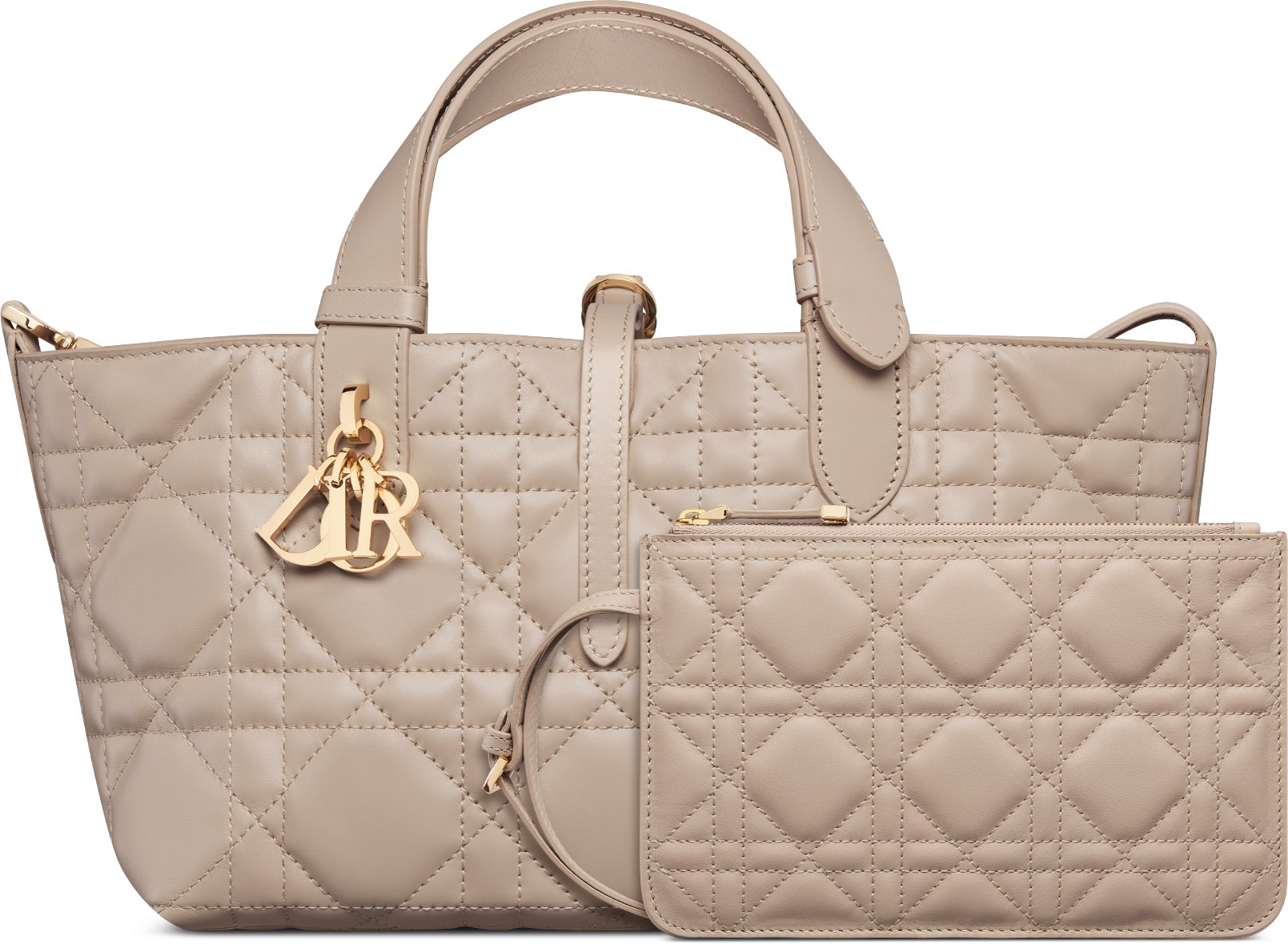Small Dior Toujours Bag Detailed view