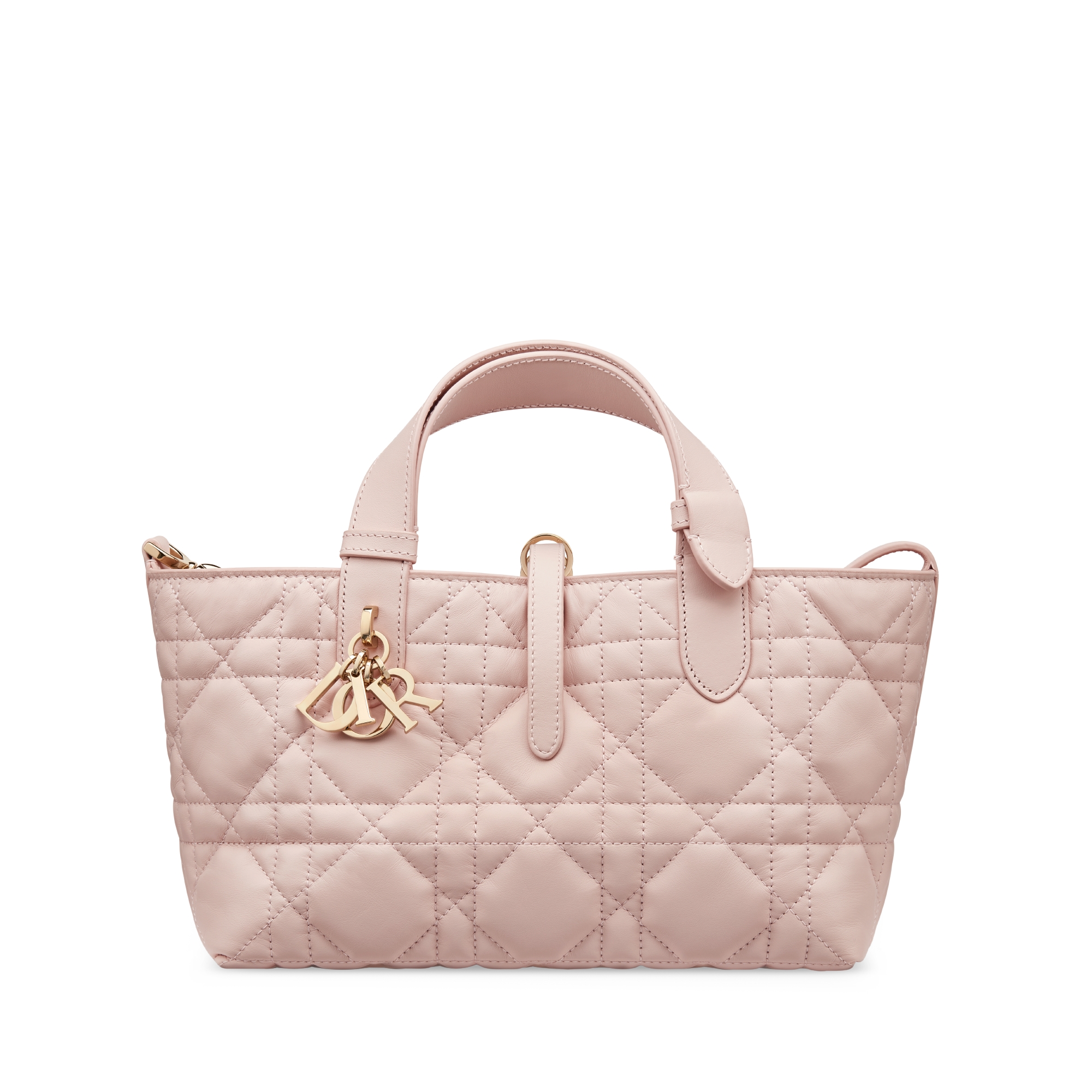 Dior Toujours 스몰 백 파우더 핑크 매크로까나쥬 송아지 가죽 E01