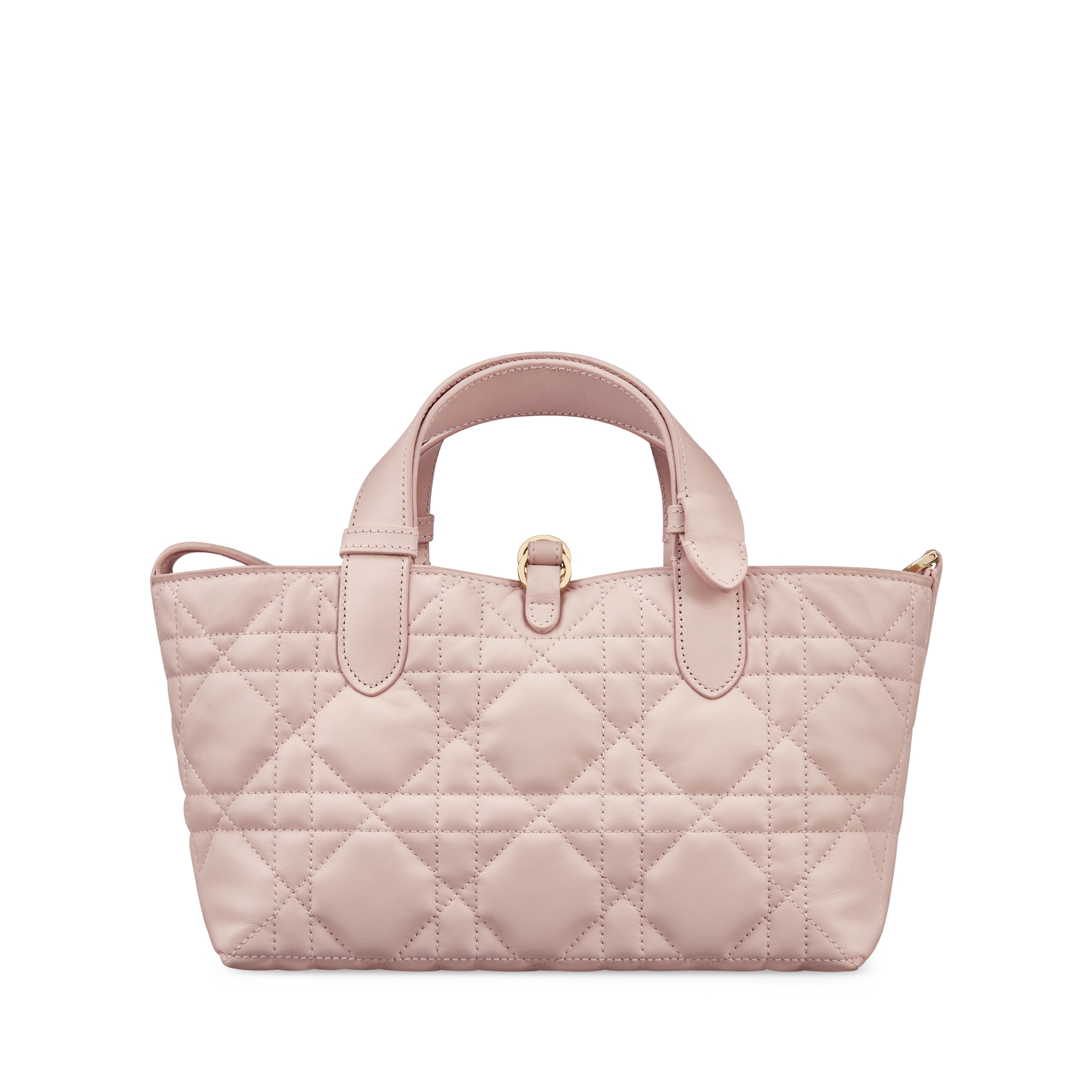 Dior Toujours 스몰 백 파우더 핑크 매크로까나쥬 송아지 가죽 E08