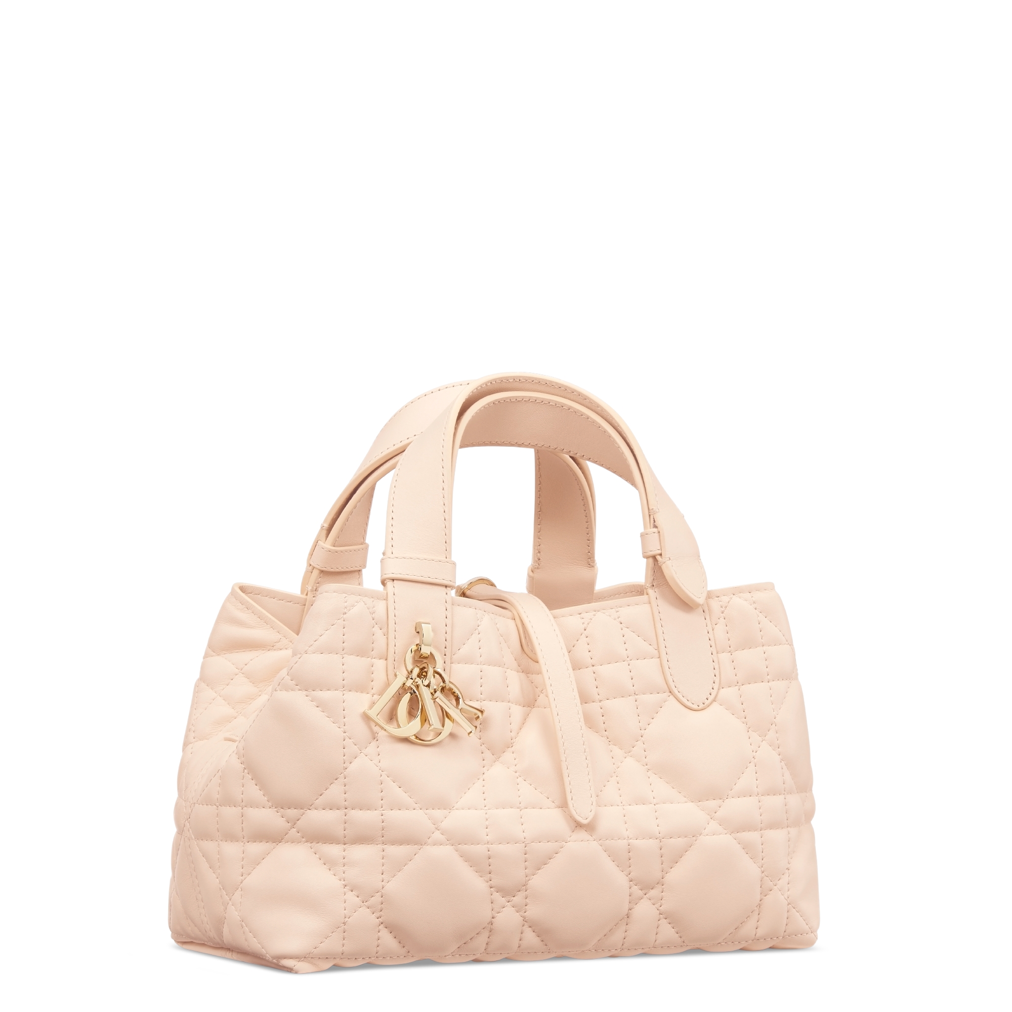 Dior Toujours バッグ スモール マクロカナージュ カーフスキン E03