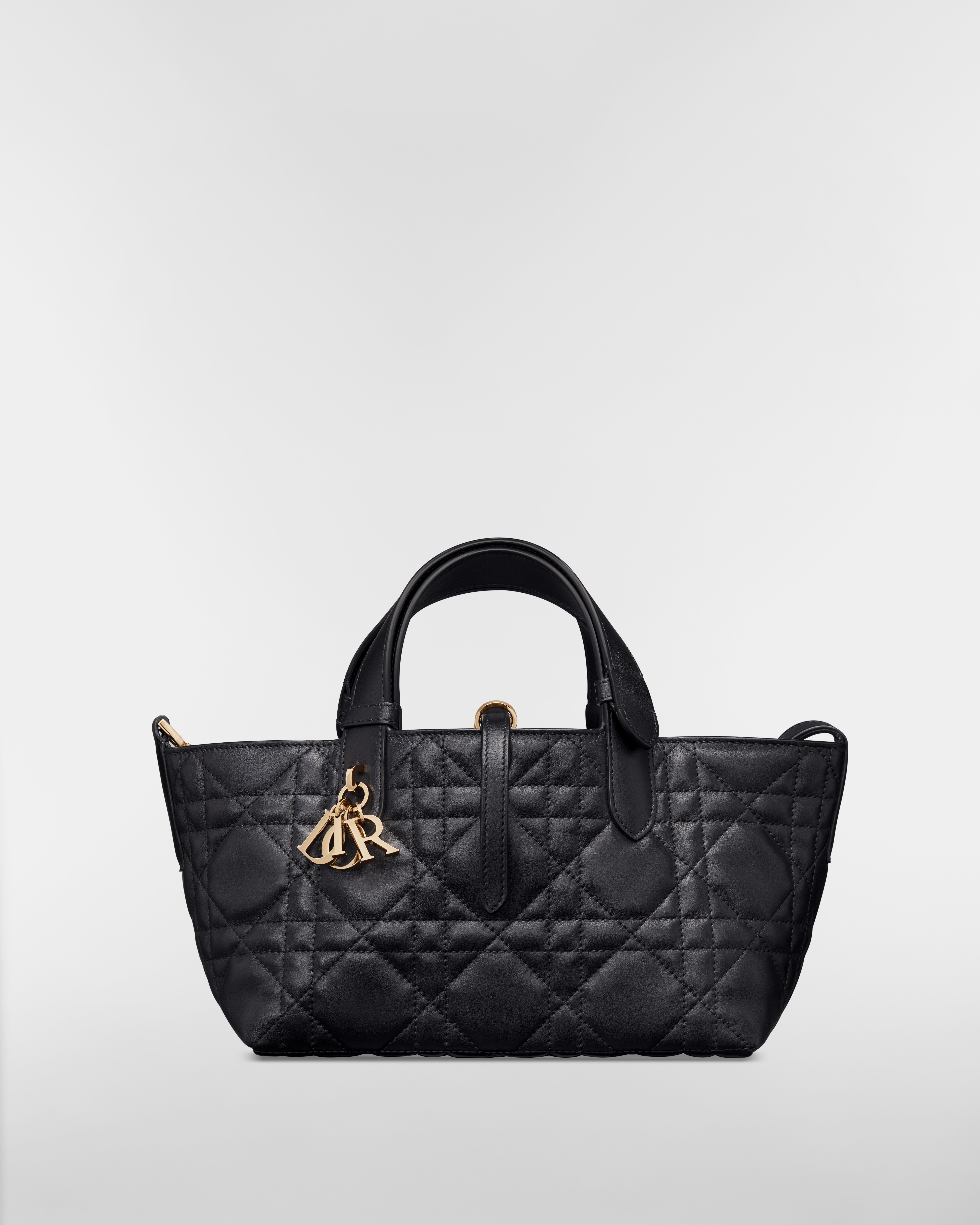 Borsa piccola Dior Toujours