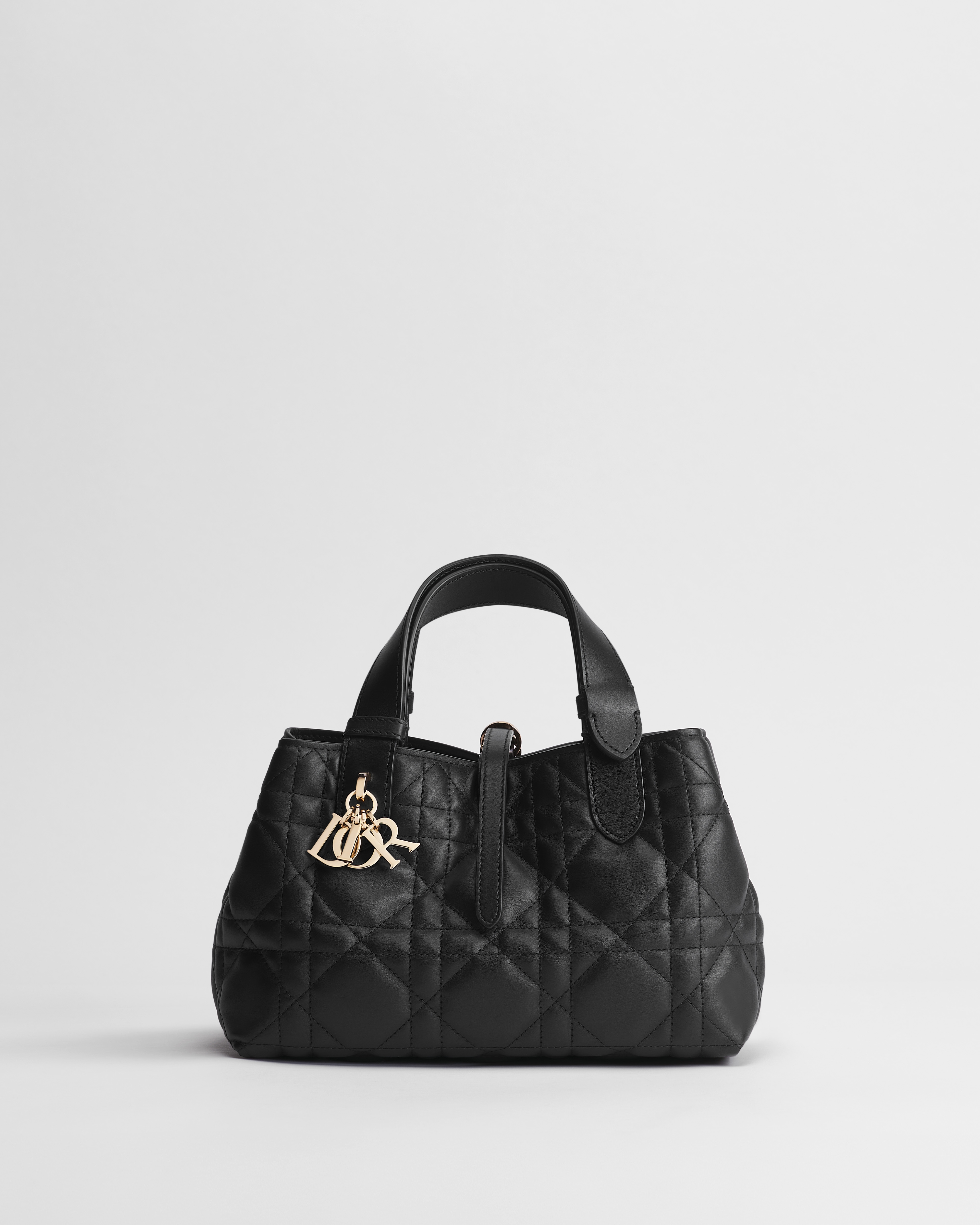 Small Dior Toujours Bag