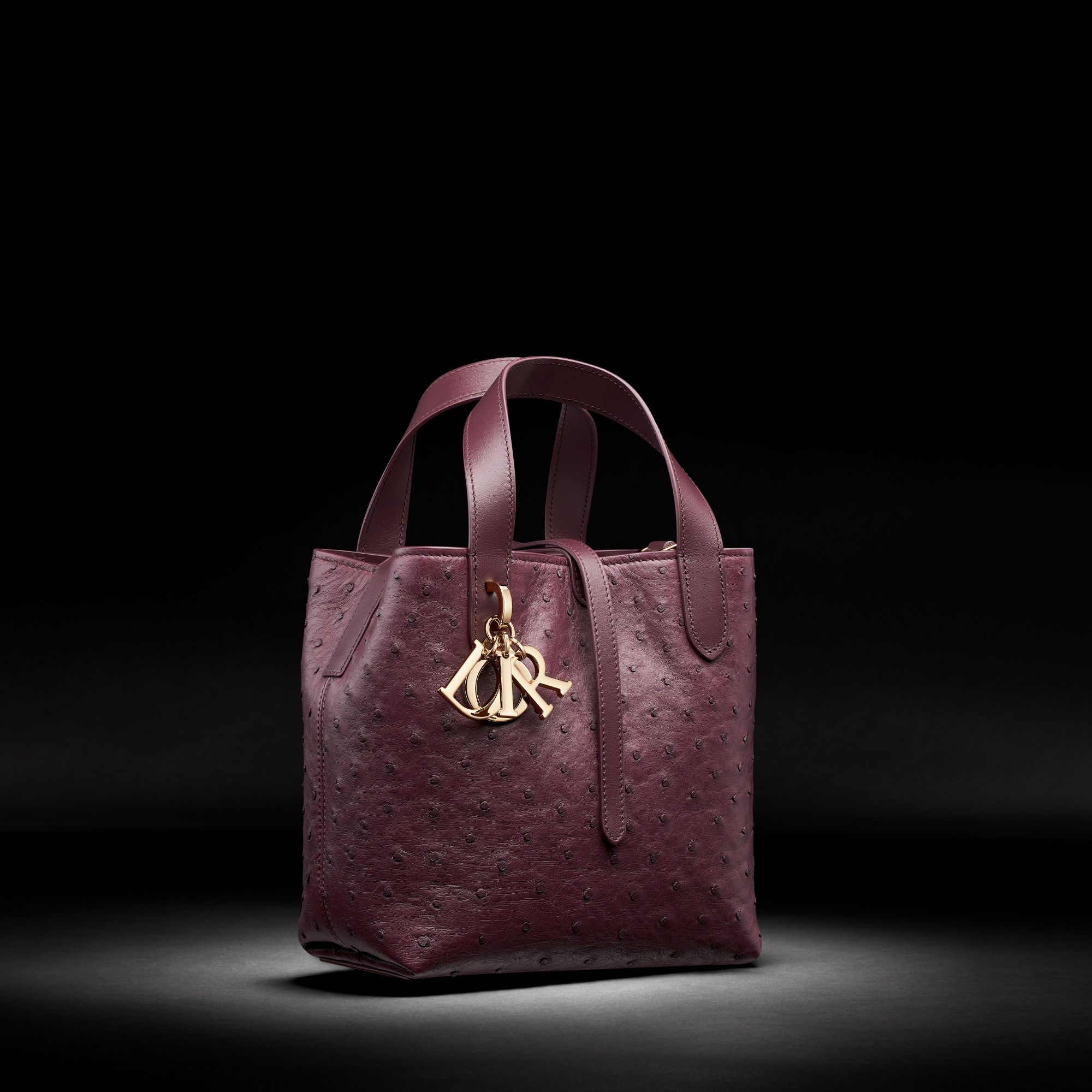 Small Dior Toujours Bag
