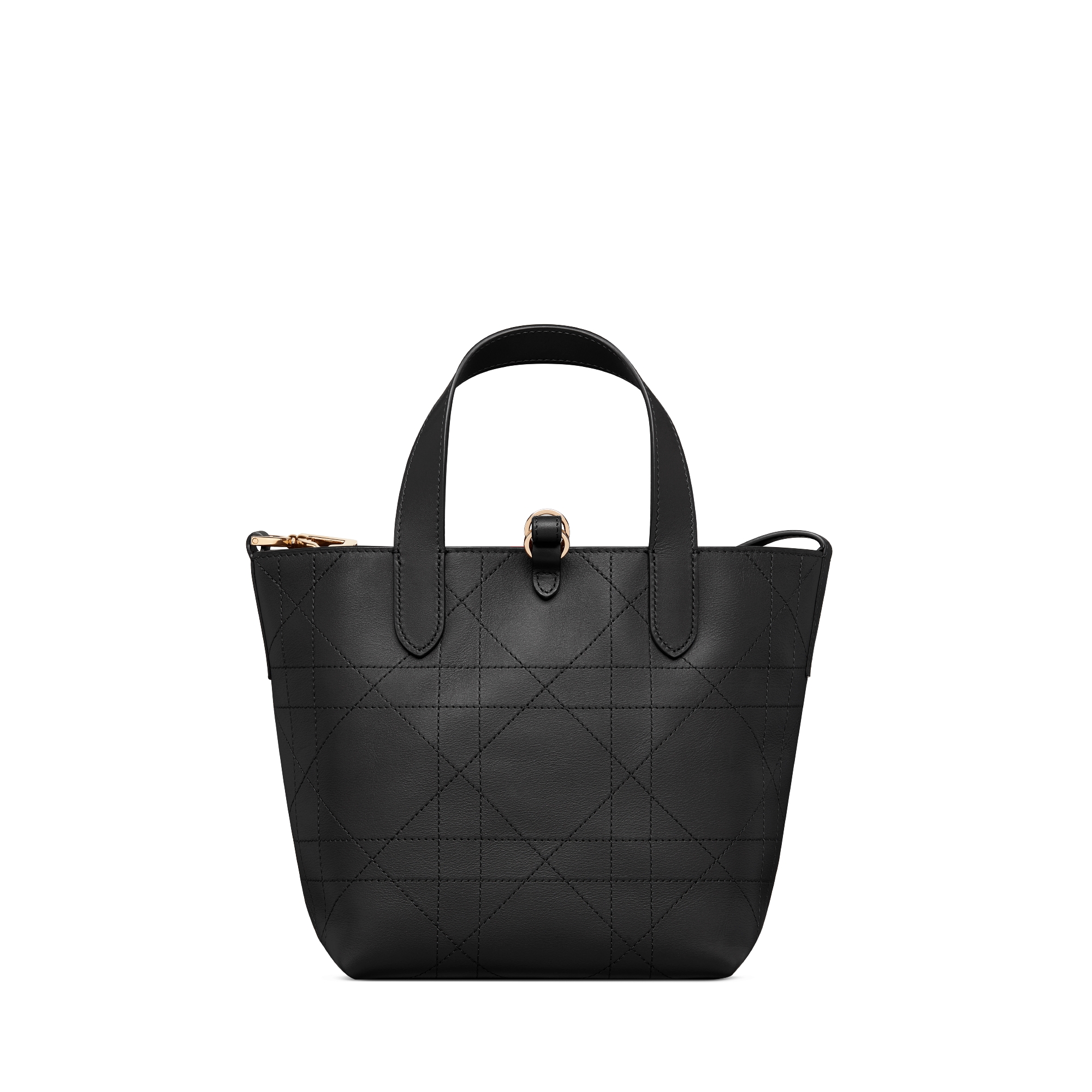 Dior Toujours Vertical Tote Bag