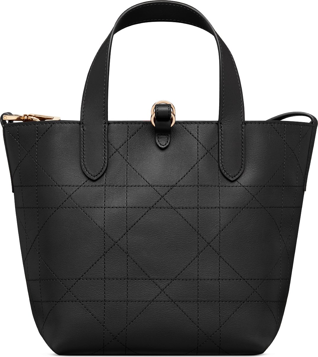 Small Dior Toujours Vertical Tote Bag Back view