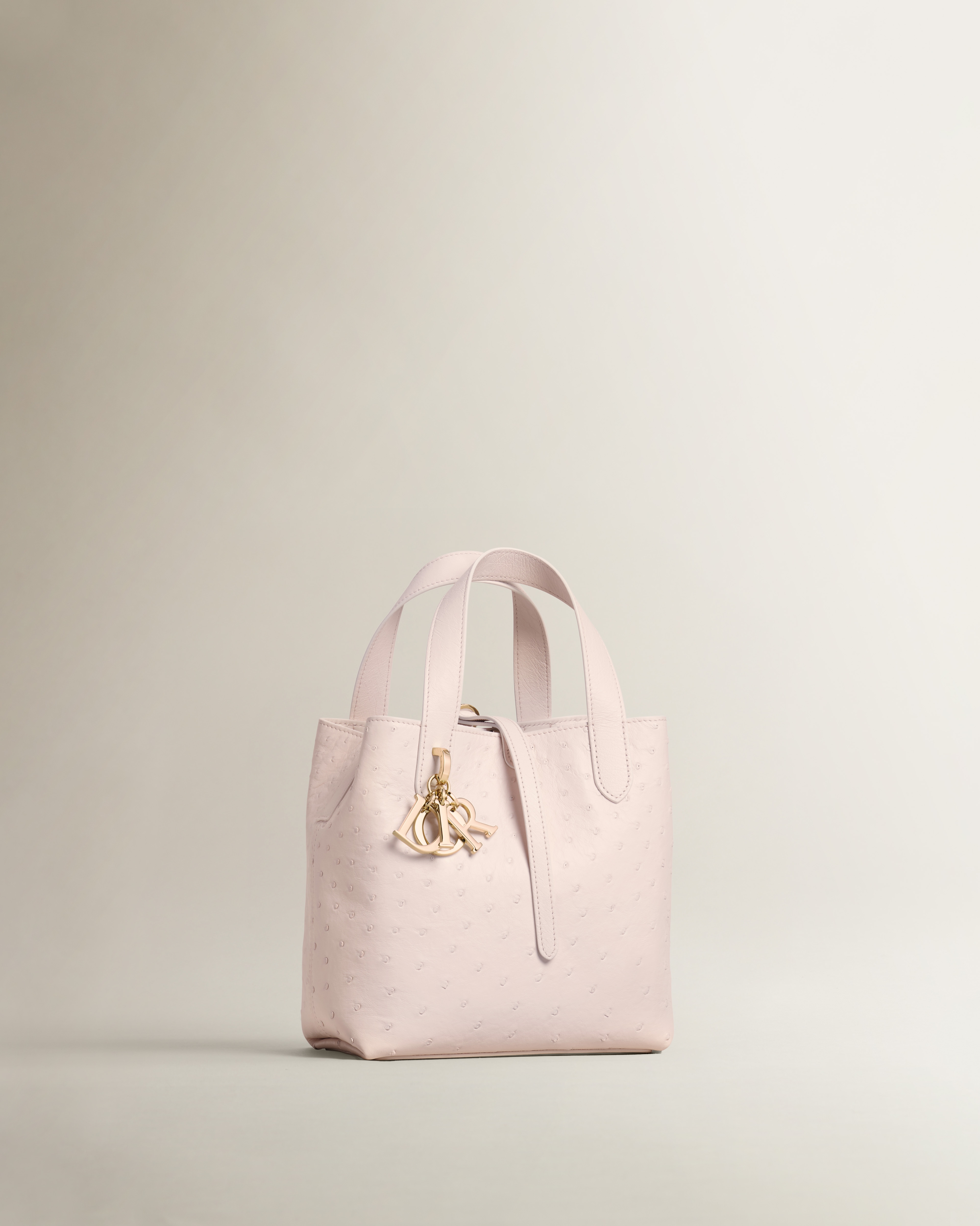 Small Dior Toujours Bag