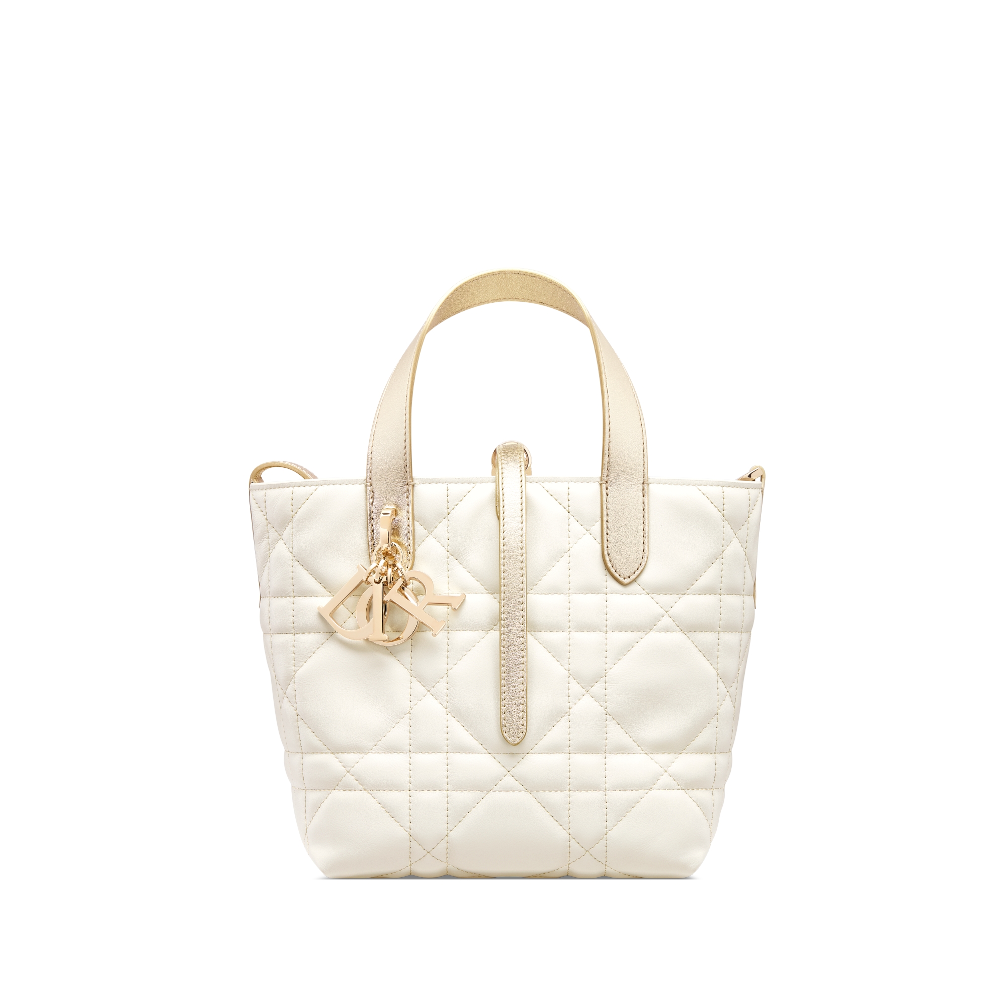 Dior Toujours バーティカル トートバッグ スモール マクロカナージュ カーフスキン E01