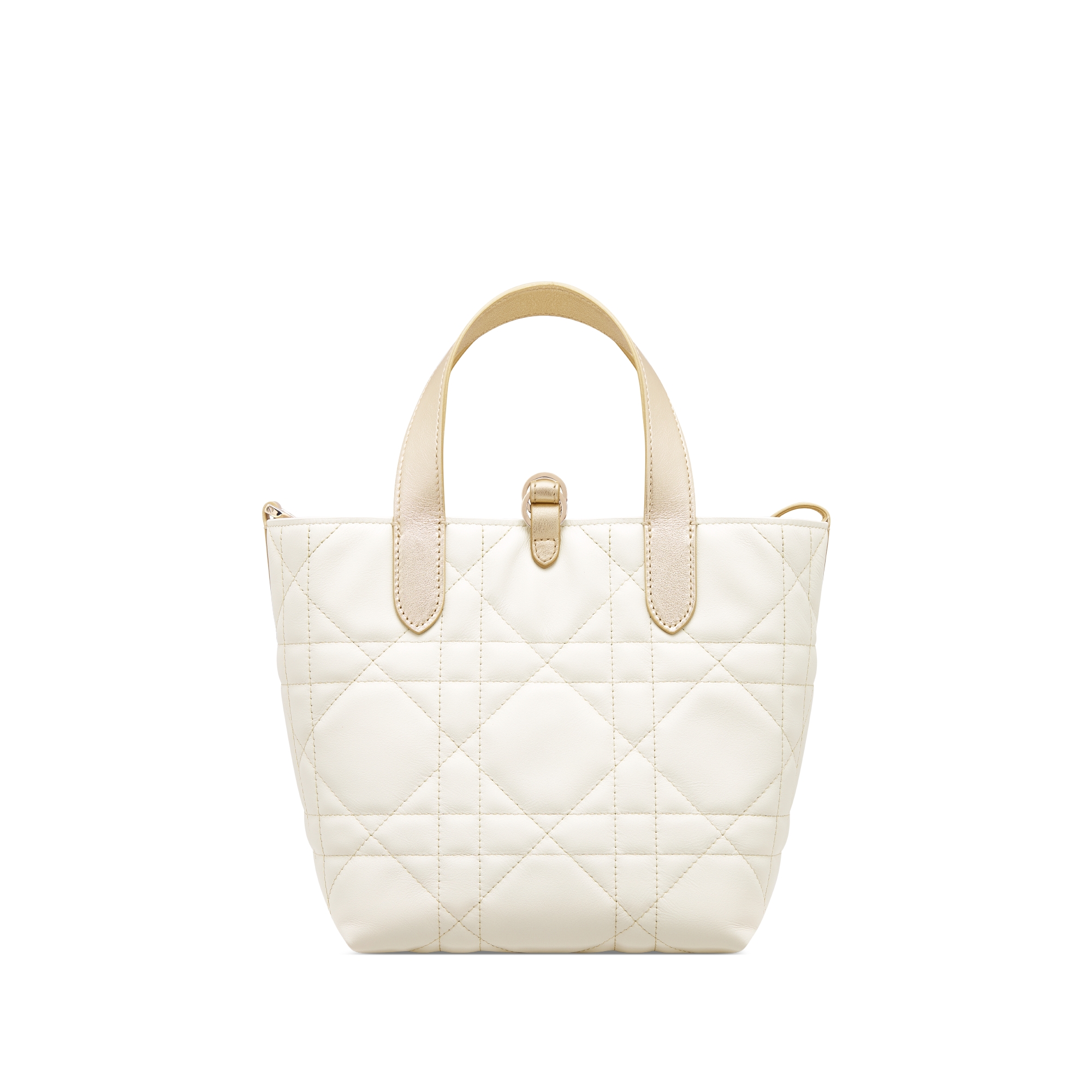 Dior Toujours バーティカル トートバッグ スモール マクロカナージュ カーフスキン E08