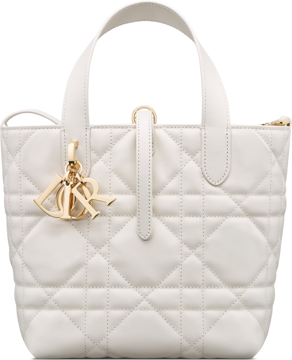 小碼 Dior Toujours 直向手挽袋 aria_frontView